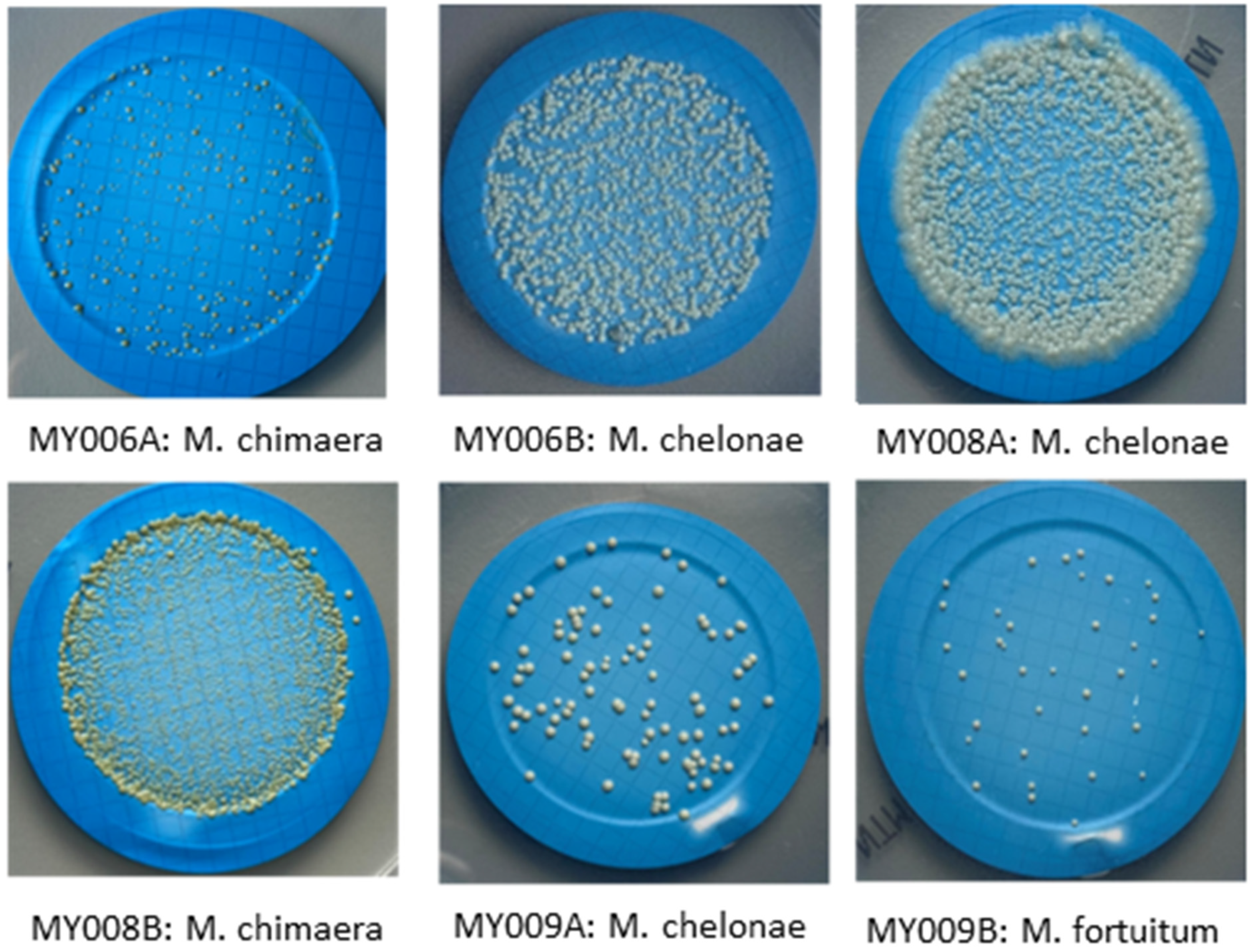 Ijerph 19 10645 g002