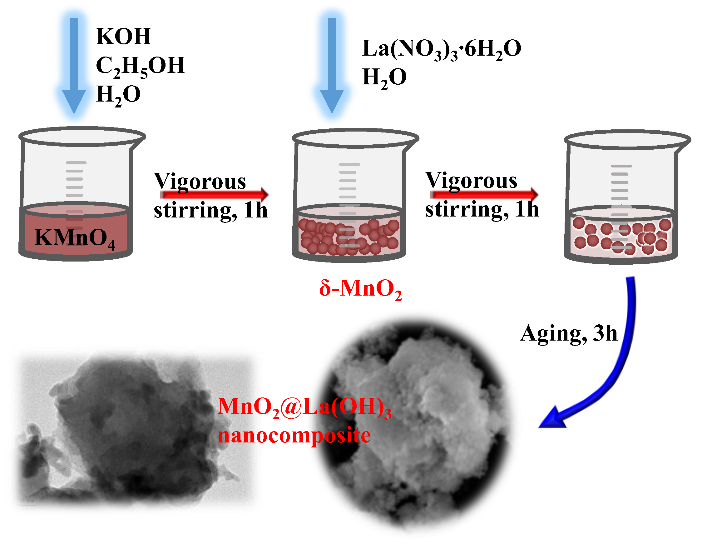 Ijerph 19 10649 g001