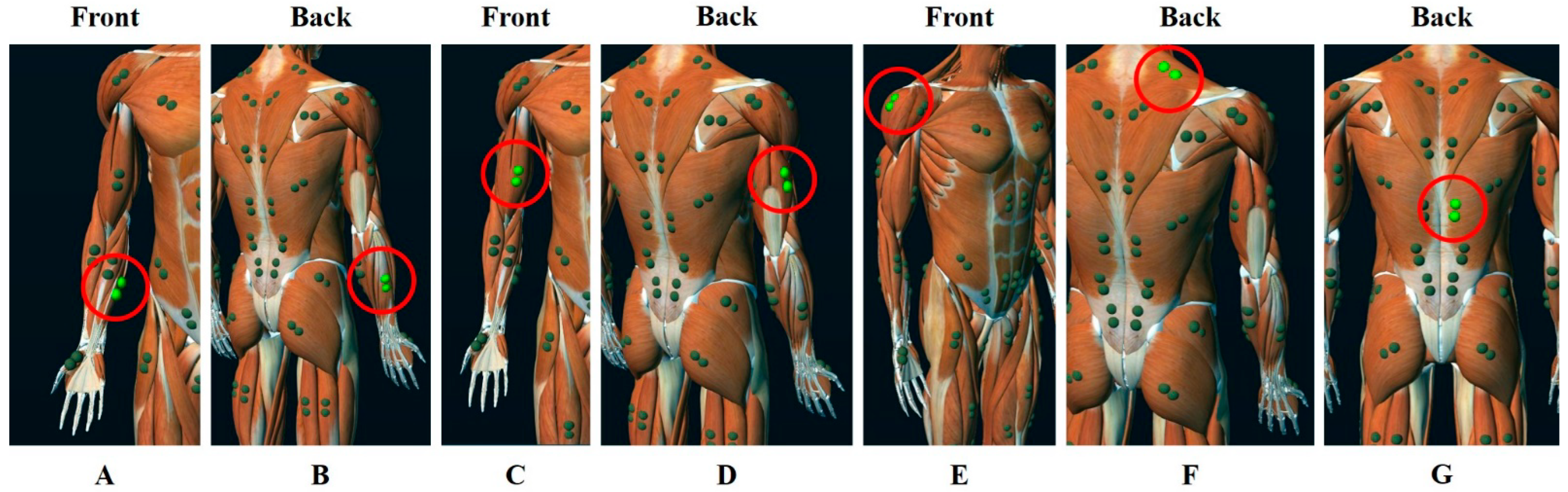Ijerph 19 10669 g003