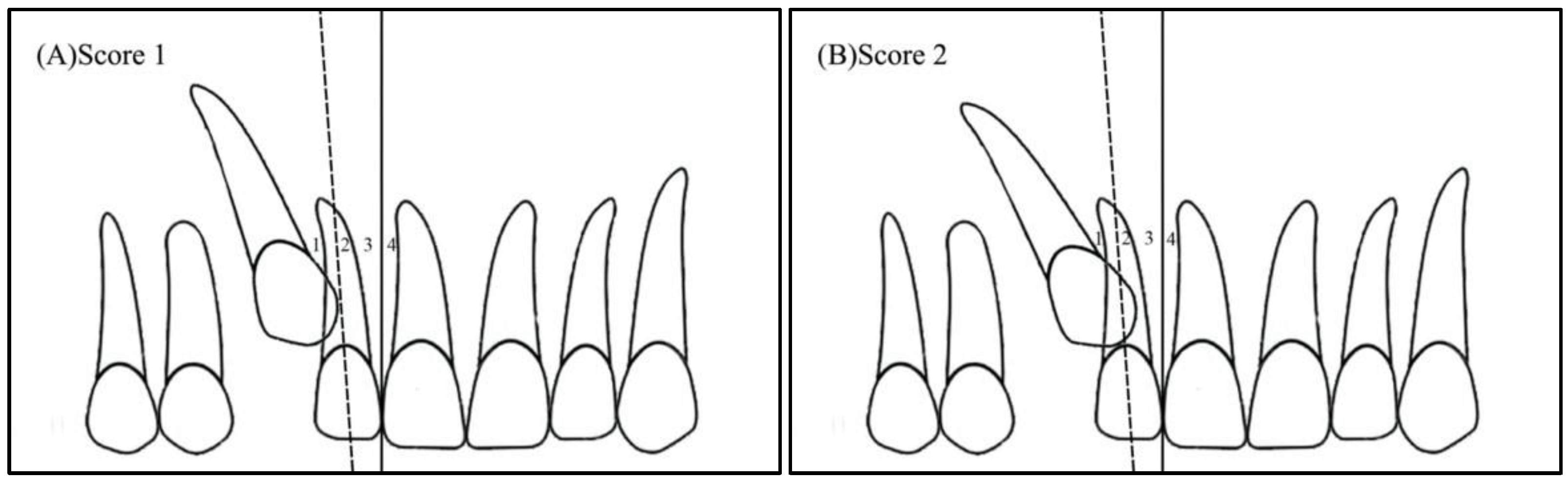 Ijerph 19 10680 g002a
