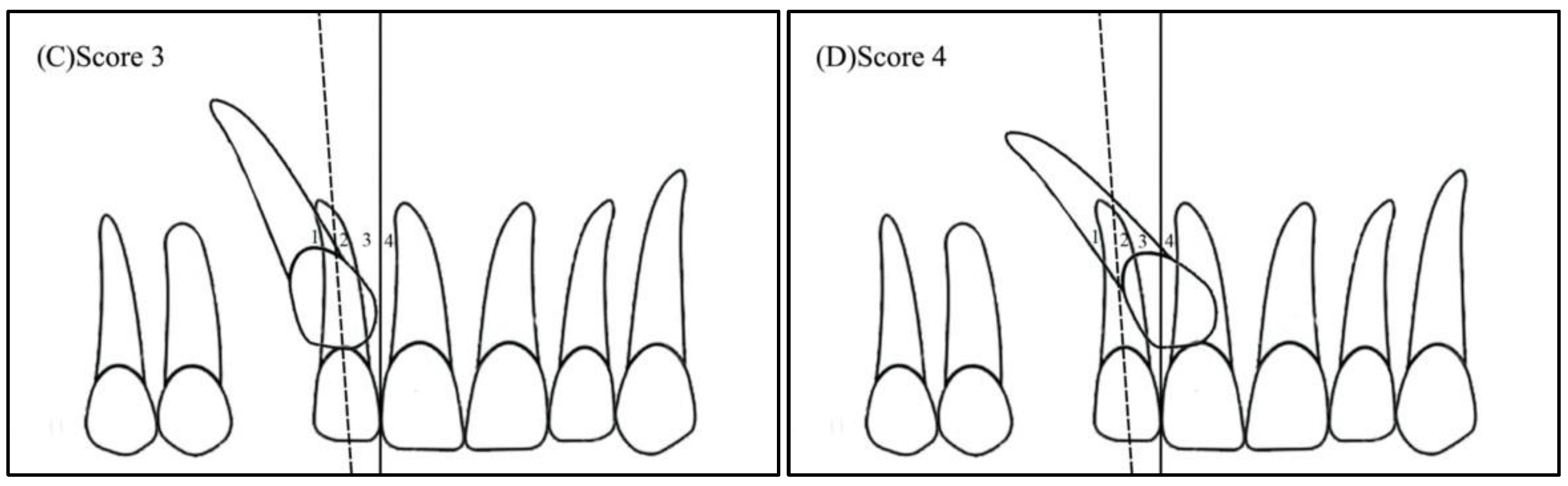 Ijerph 19 10680 g002b