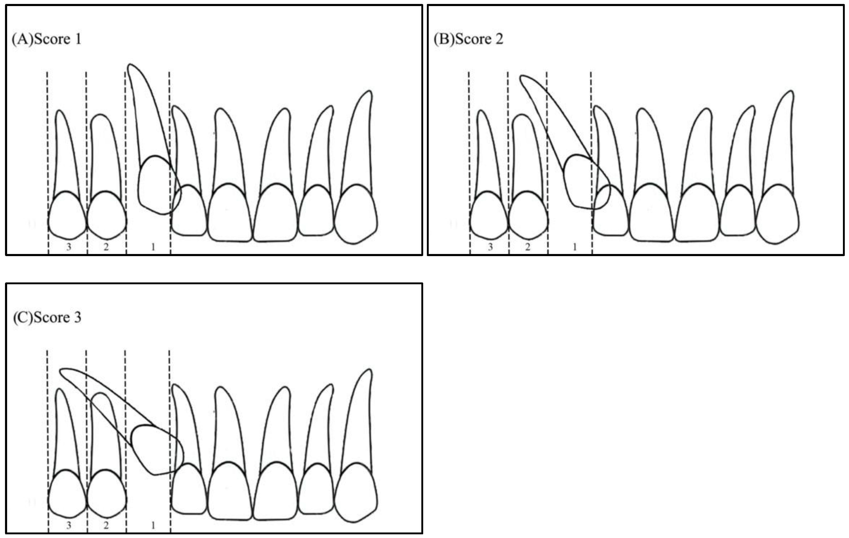 Ijerph 19 10680 g003