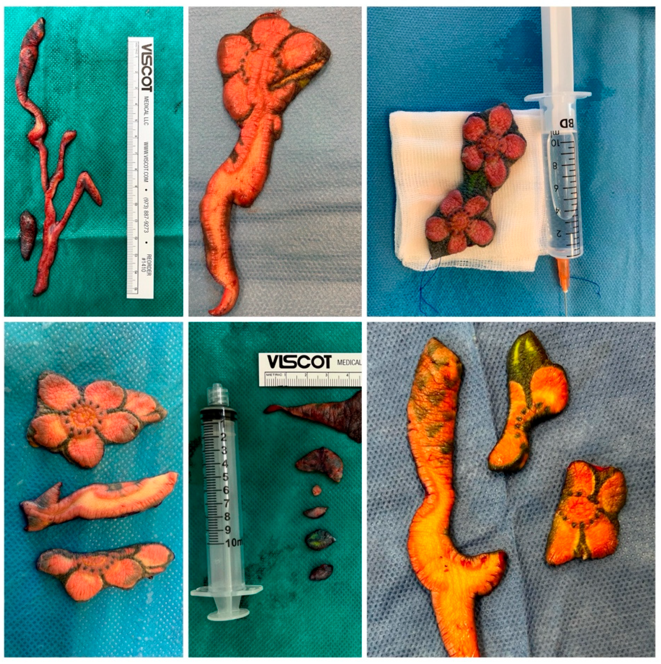 Ijerph 19 10741 g003