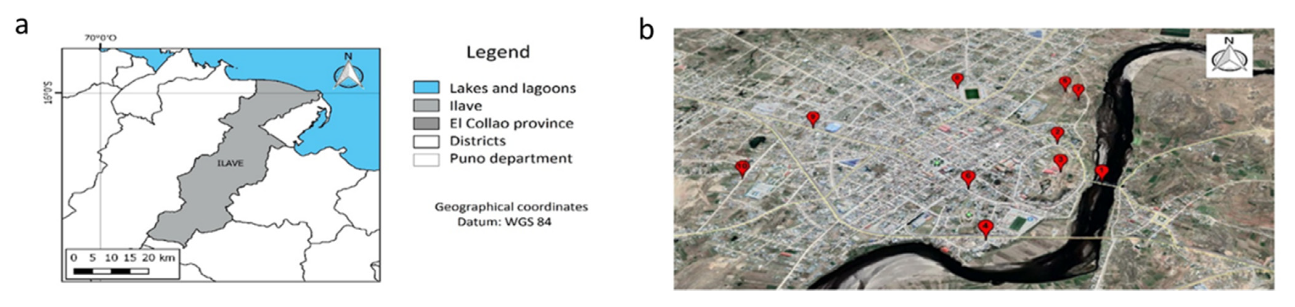 Ijerph 19 10779 g001