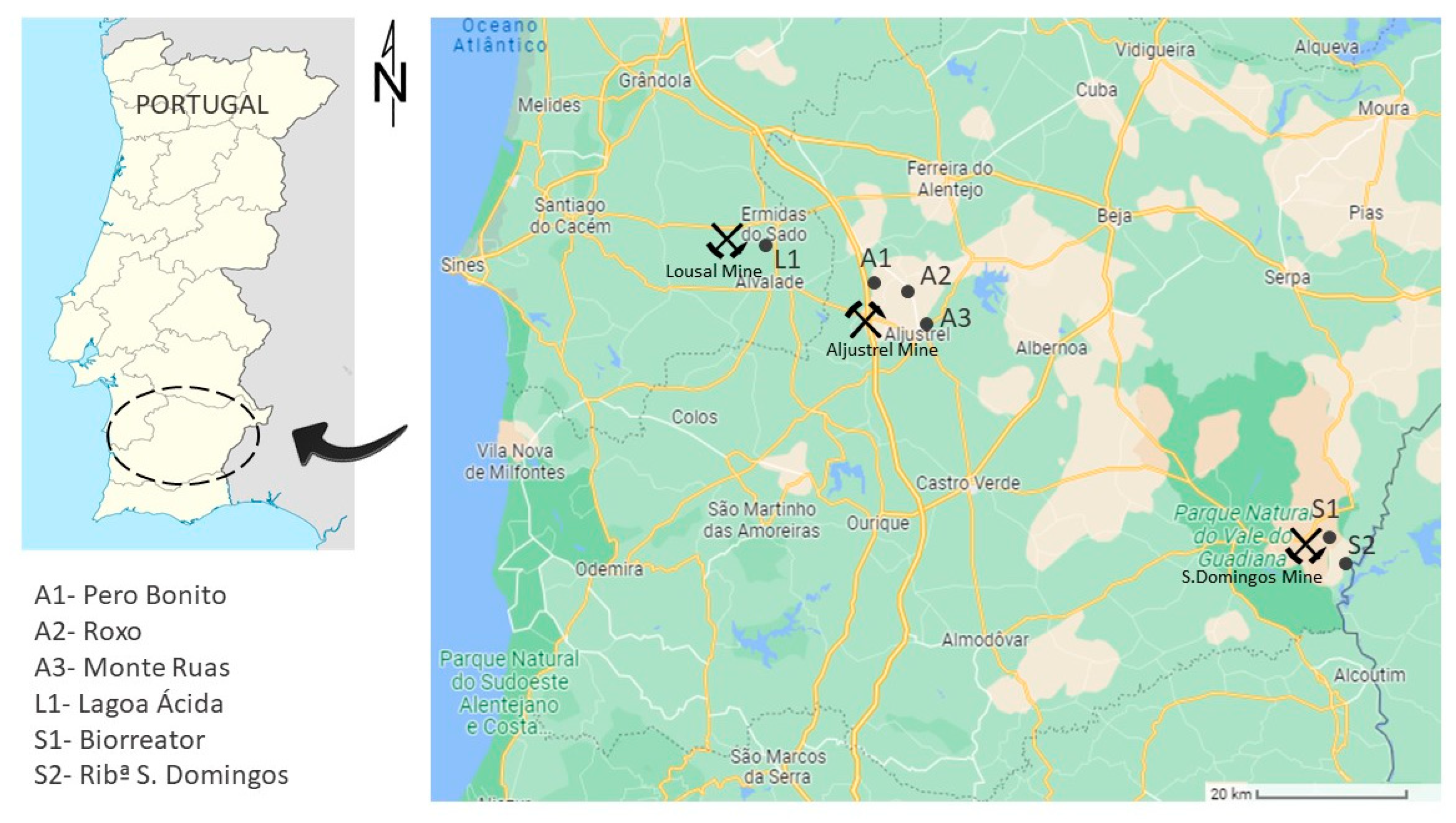 Ijerph 19 10810 g001