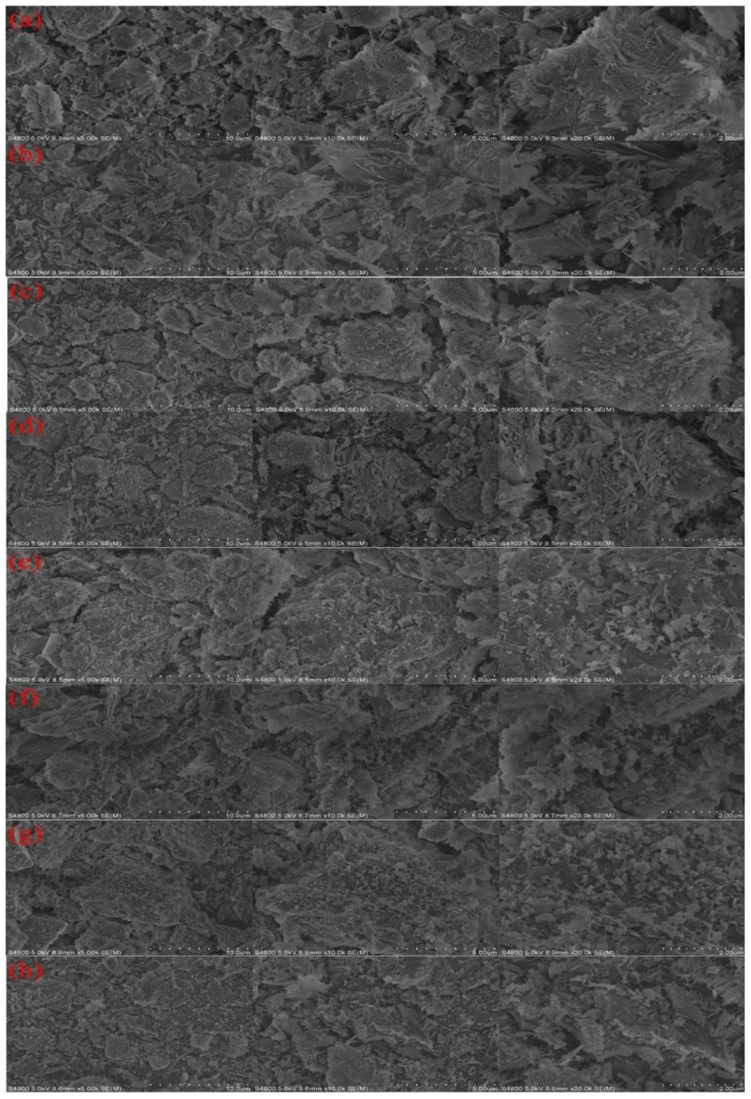 Ijerph 19 10812 g001