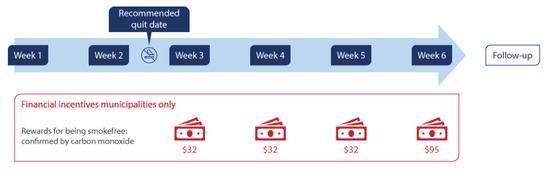 Ijerph 19 10879 g0a1 550