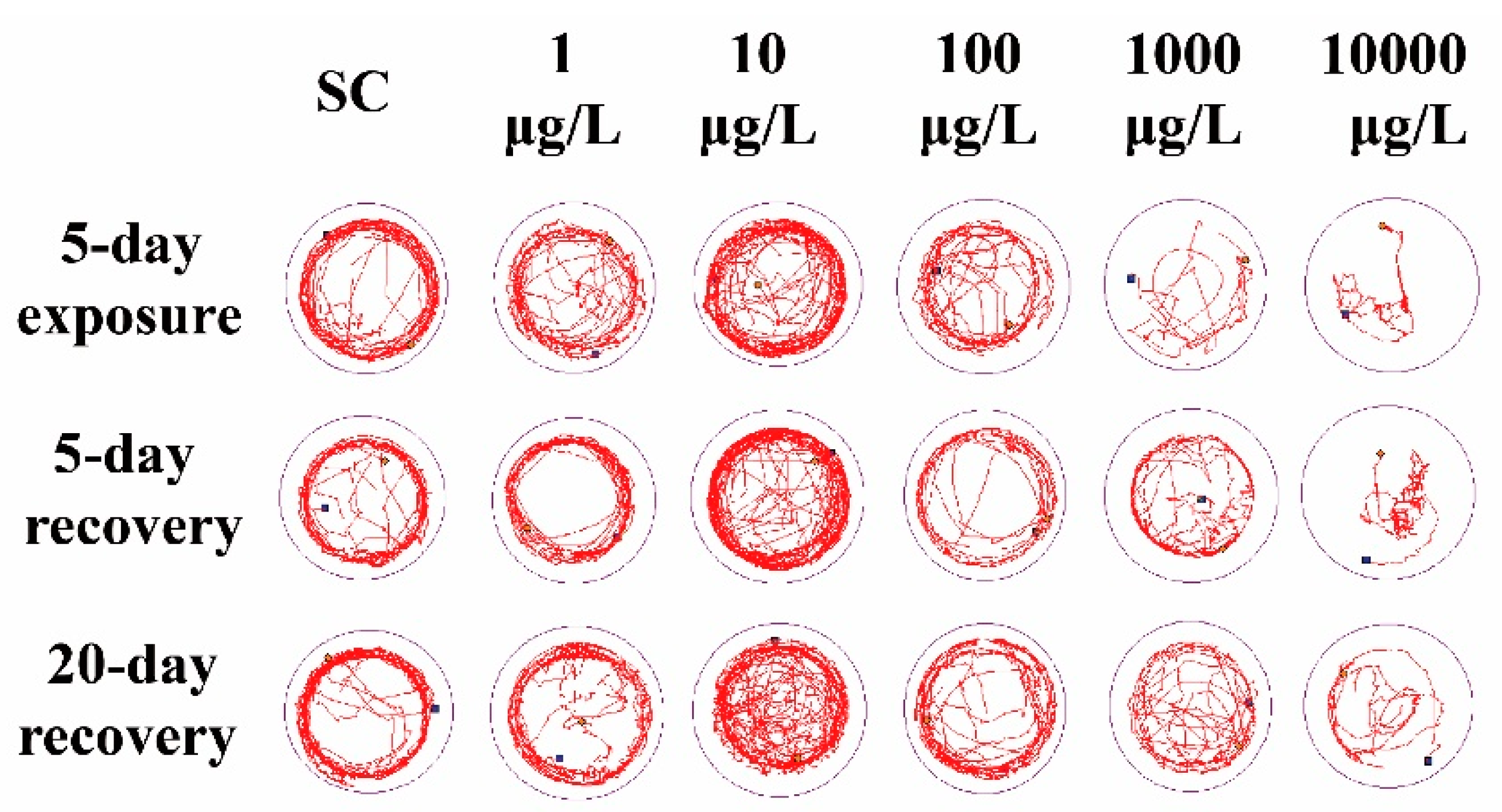 Ijerph 19 10920 g002