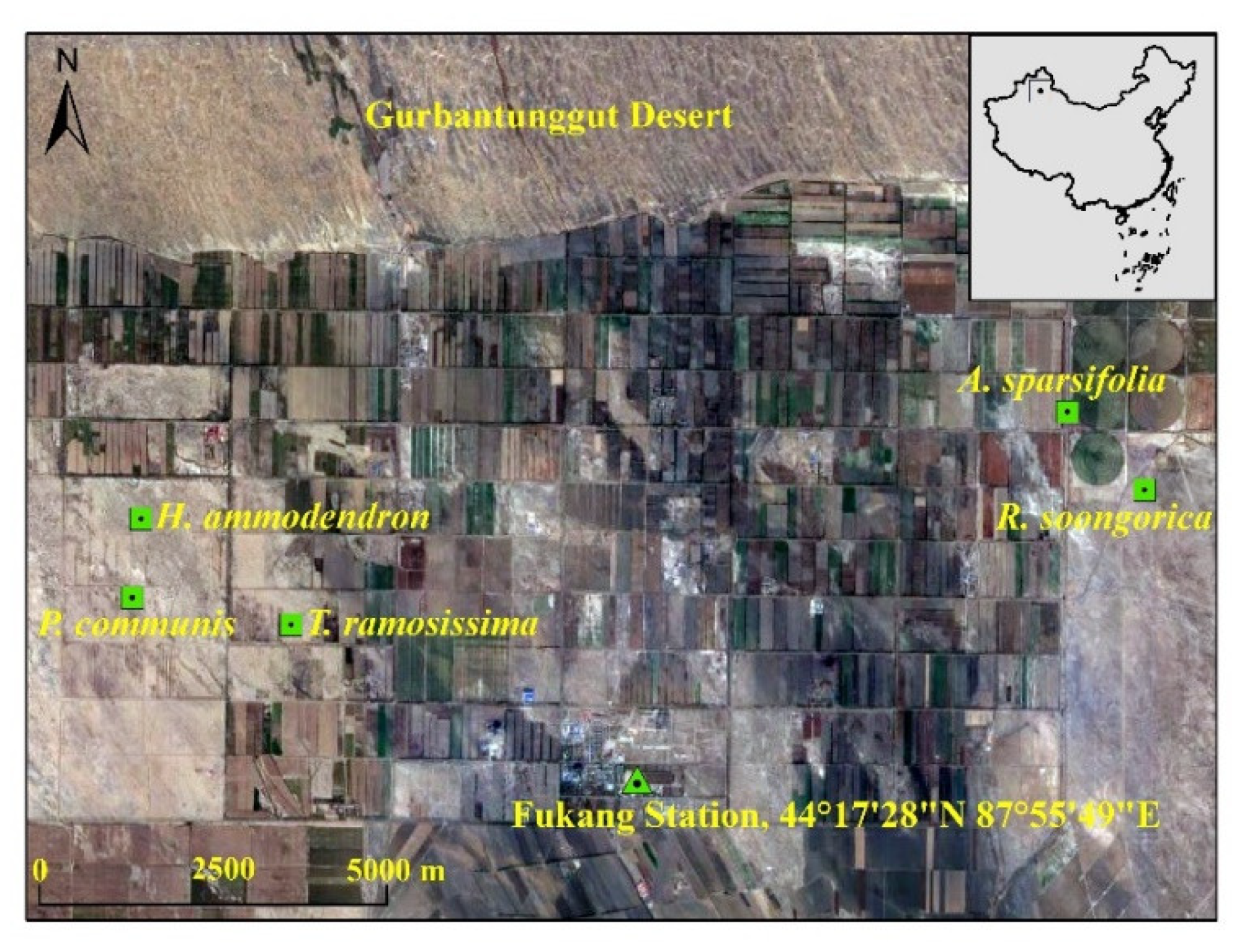 Ijerph 19 10936 g001