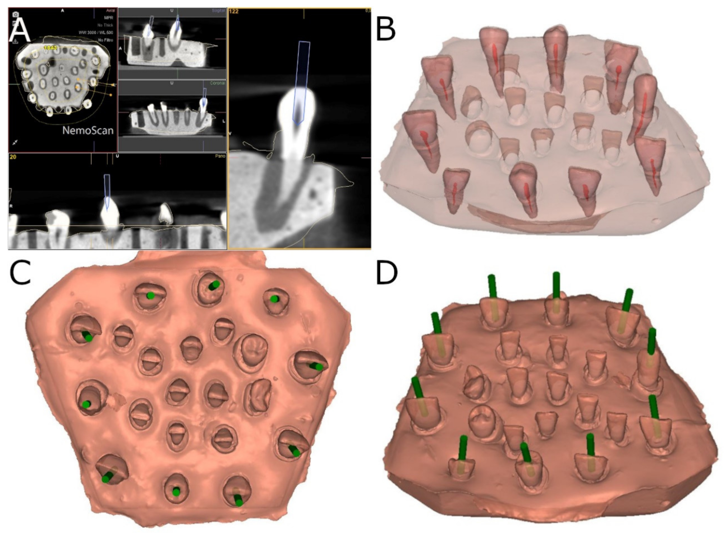 Ijerph 19 11167 g001