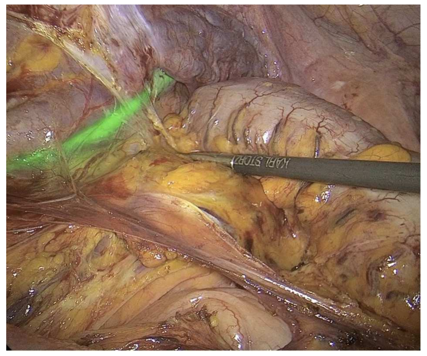 Ijerph 19 11194 g002