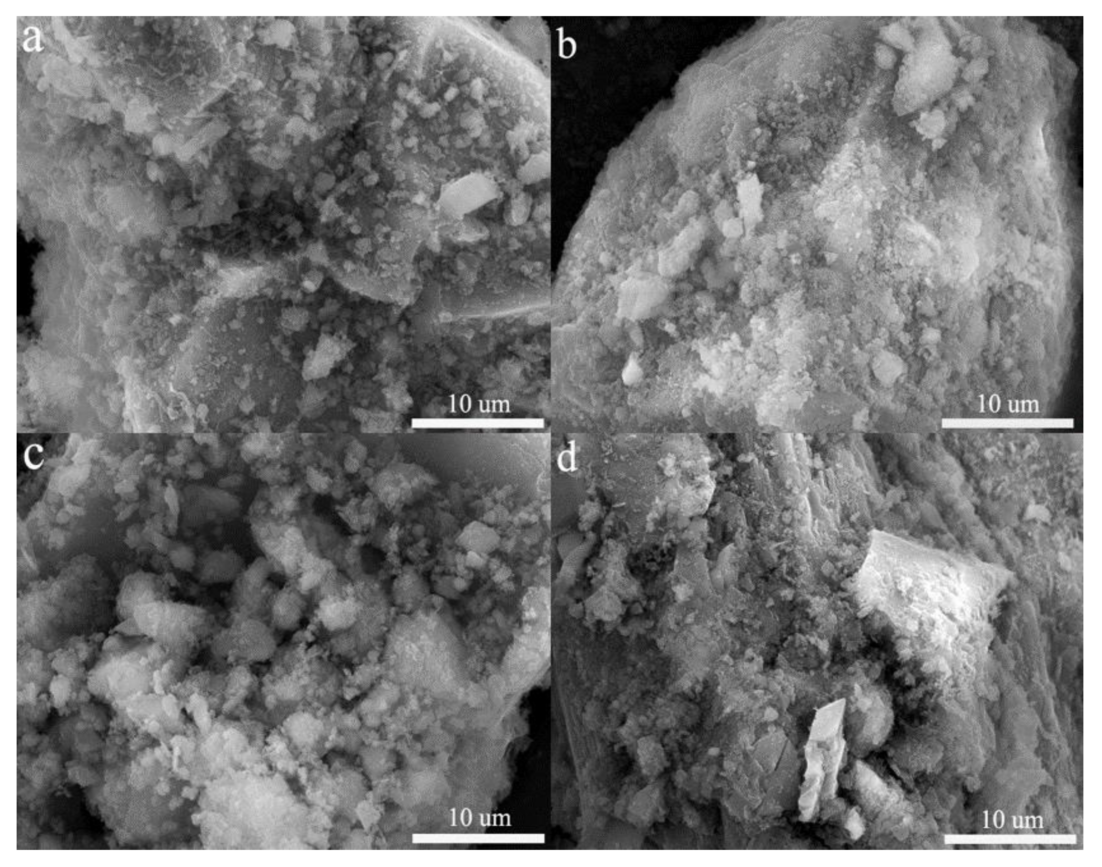 Ijerph 19 11247 g009