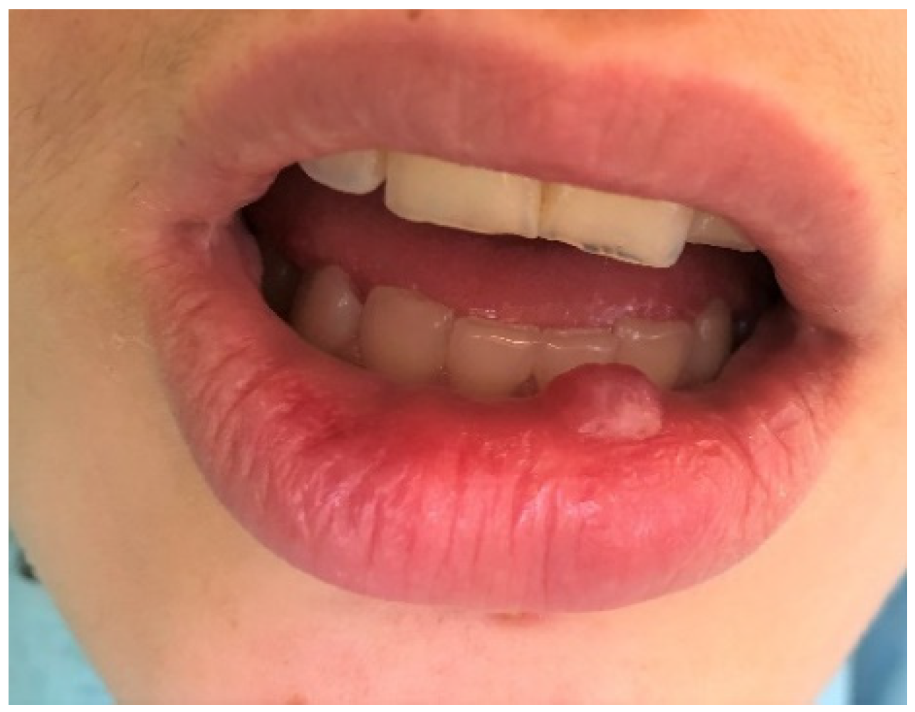 Ijerph 19 11277 g004