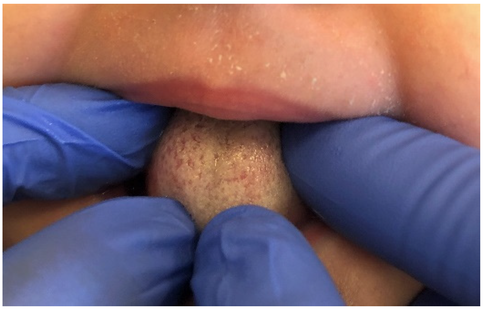 Ijerph 19 11277 g006