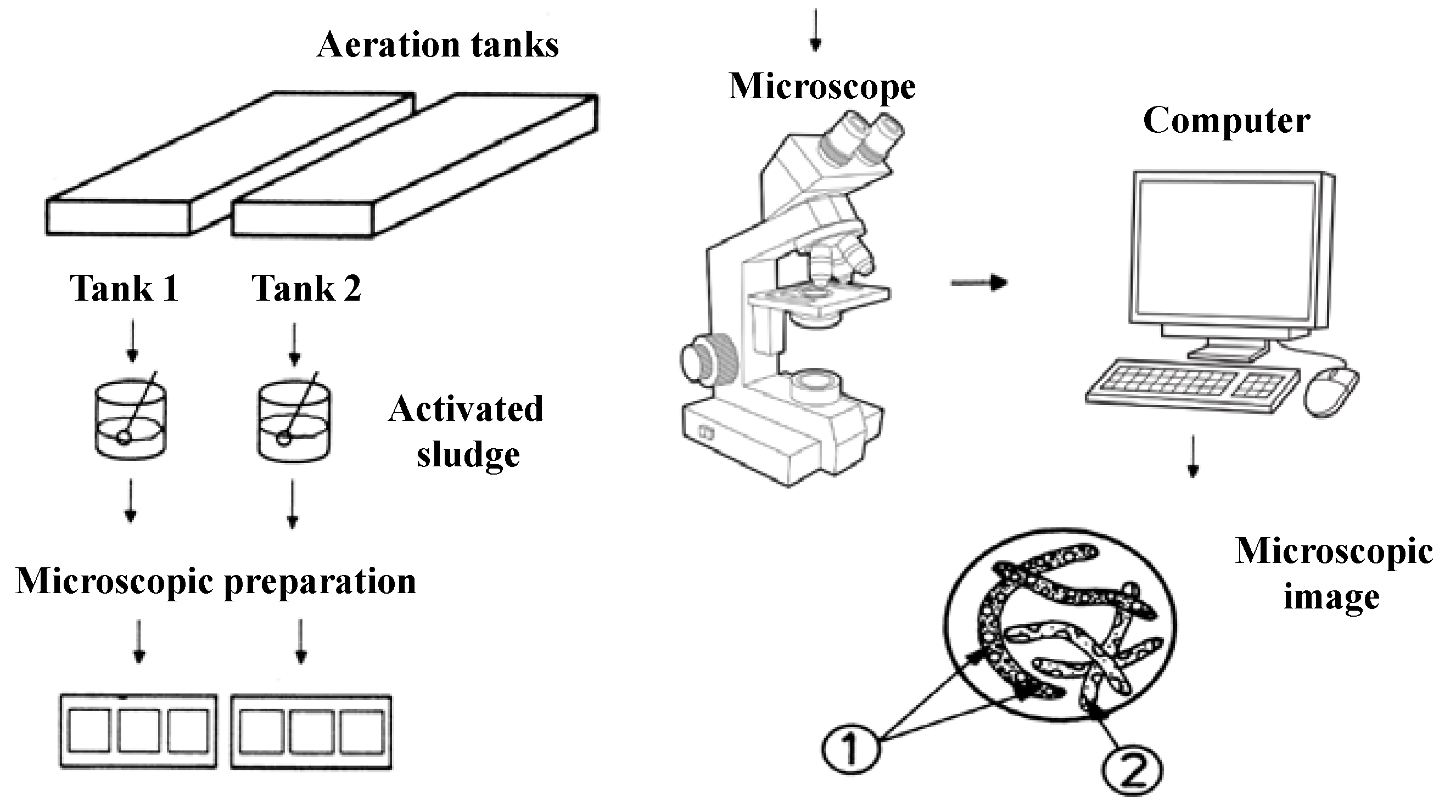 Ijerph 19 11323 g001