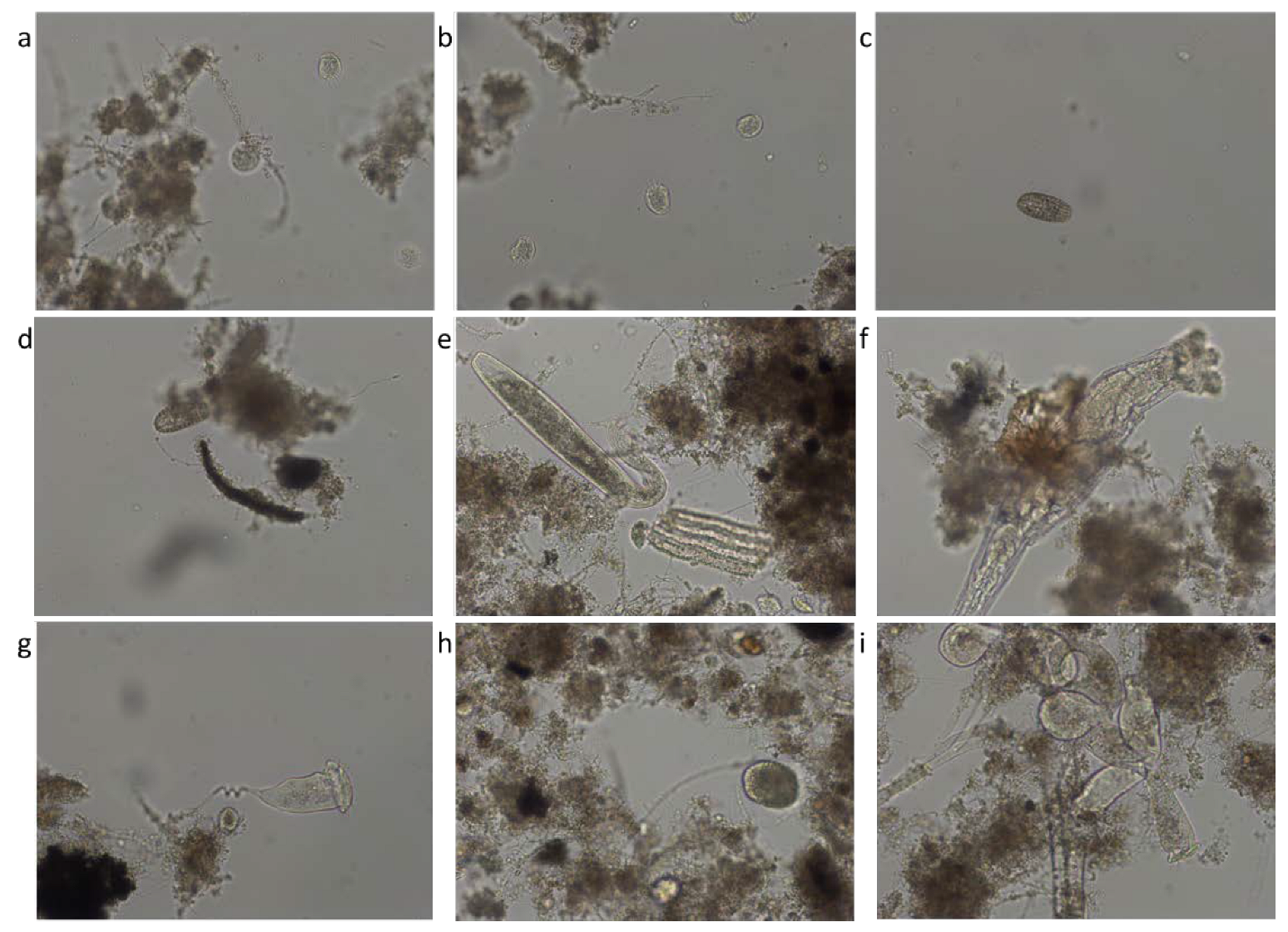 Ijerph 19 11323 g009