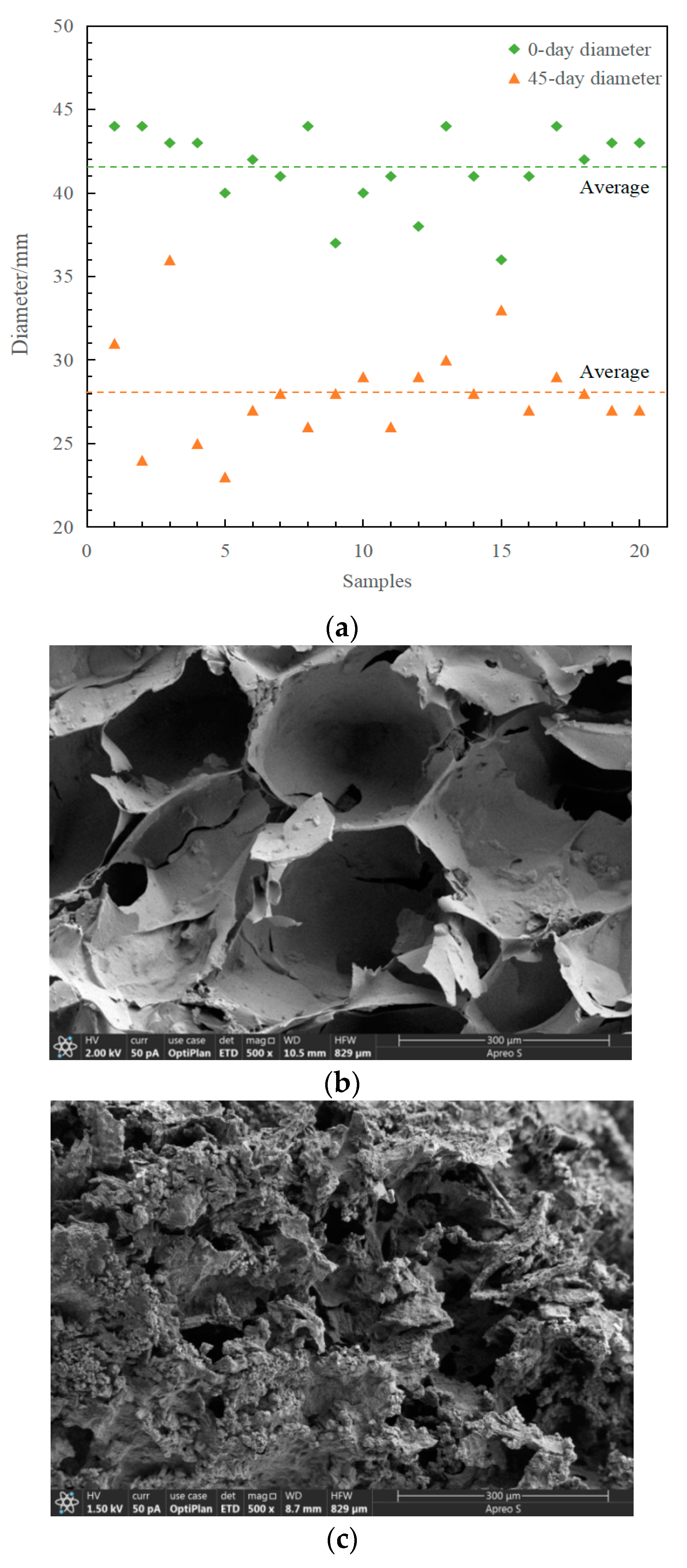 Ijerph 19 11348 g002