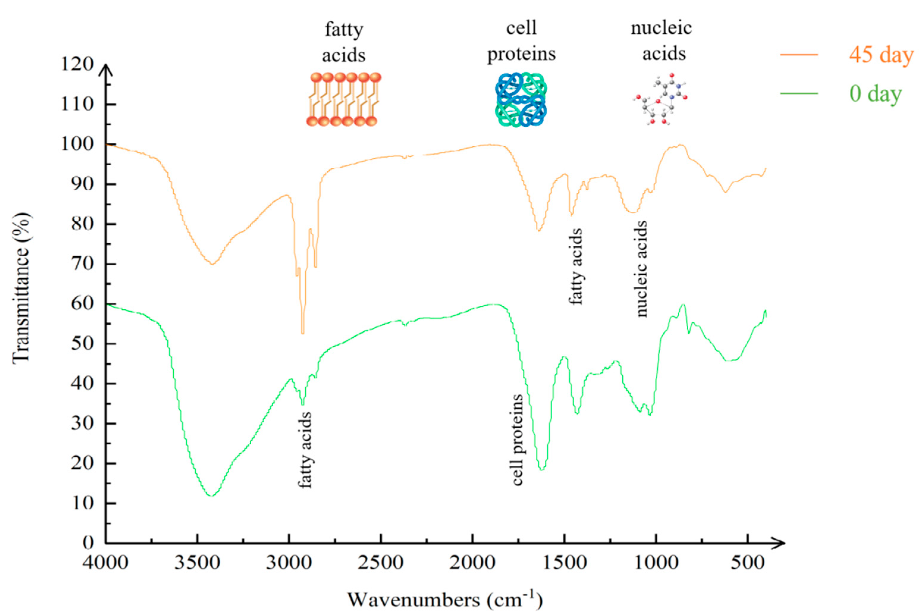Ijerph 19 11348 g003