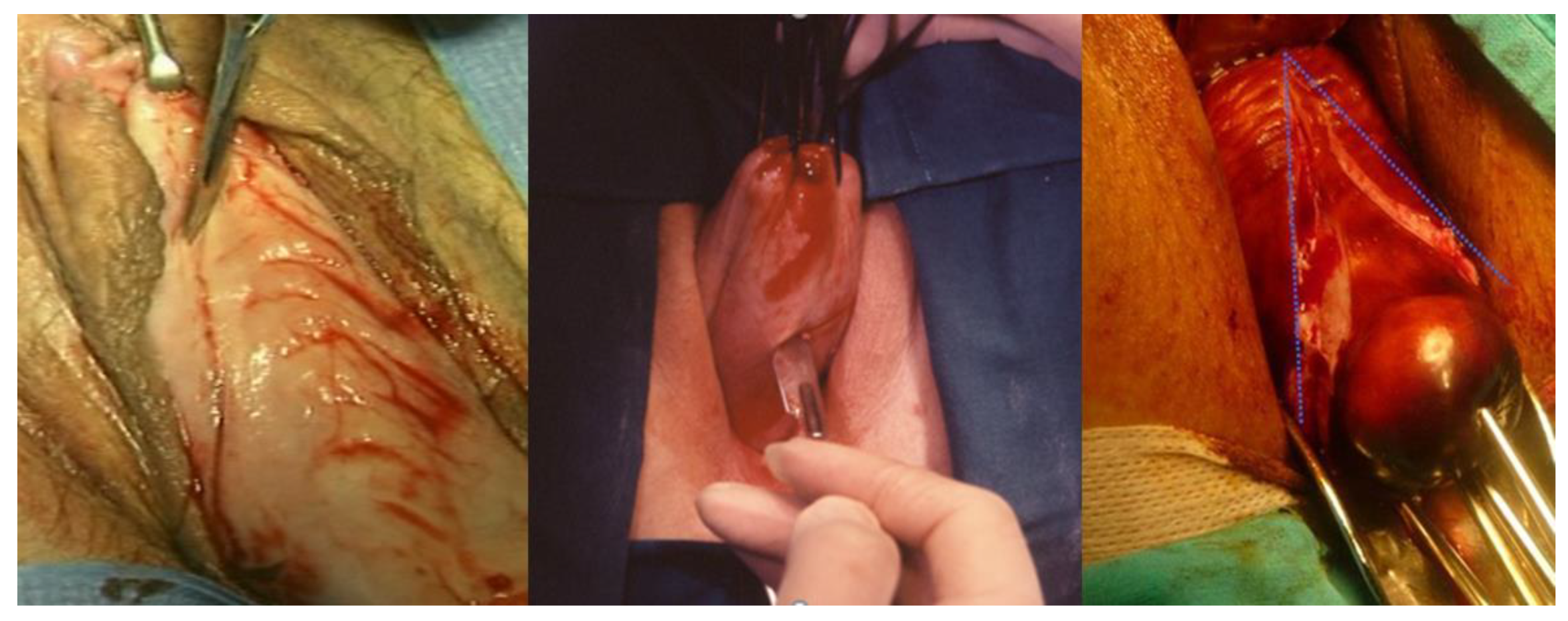 Ijerph 19 11381 g001