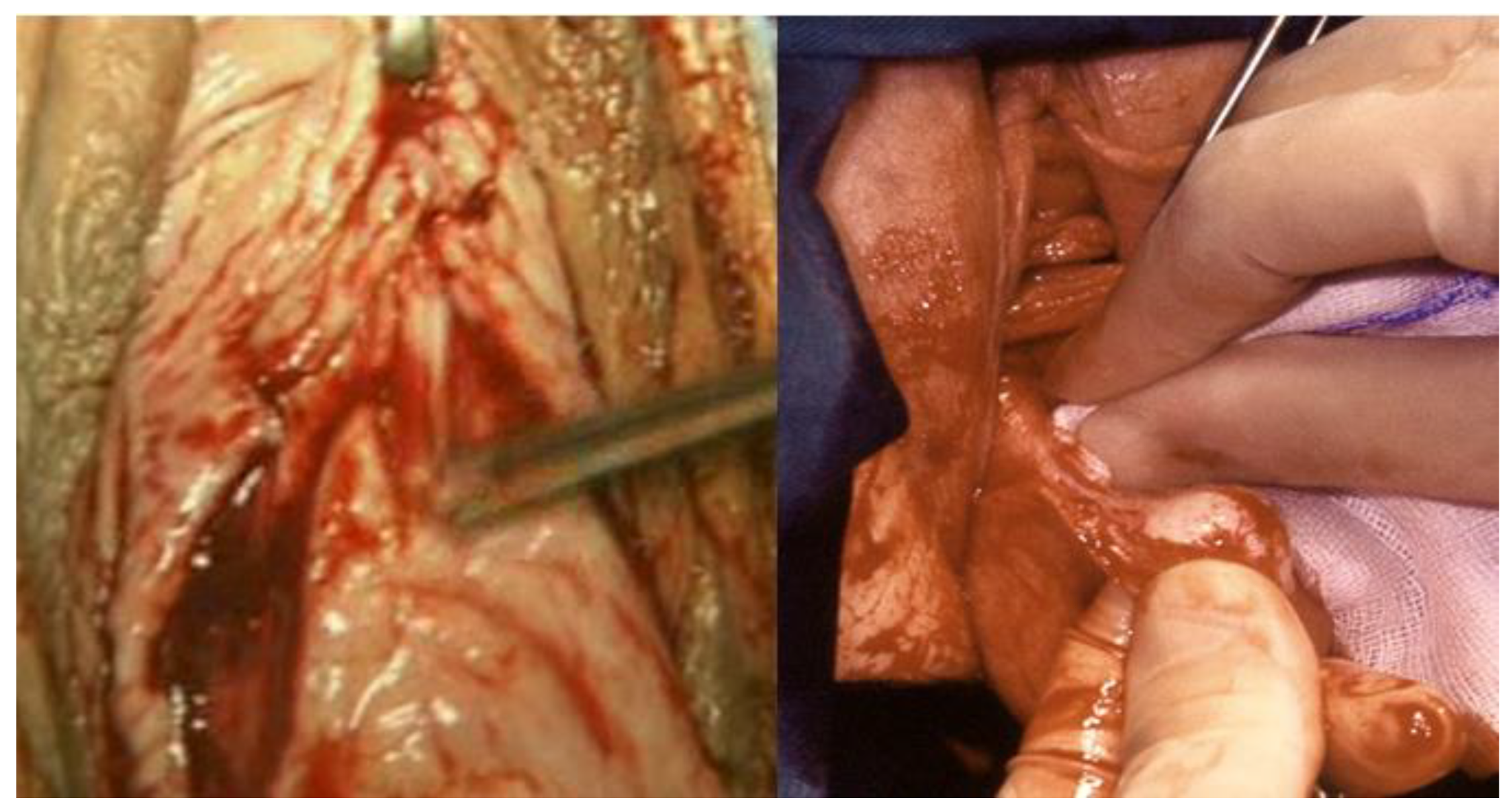 Ijerph 19 11381 g002