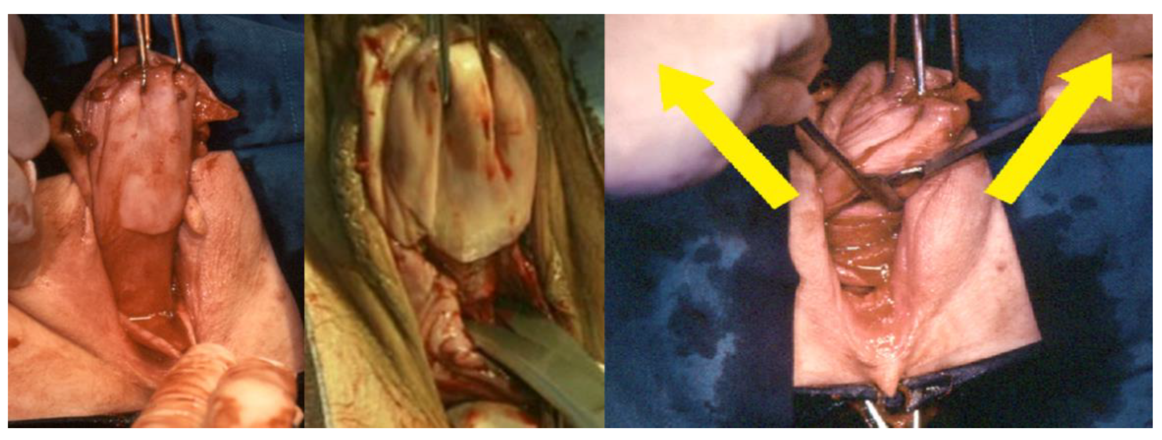 Ijerph 19 11381 g003