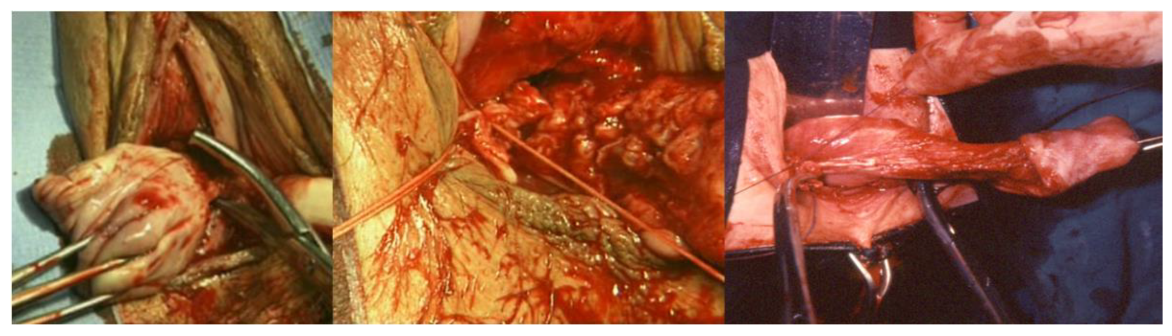 Ijerph 19 11381 g005