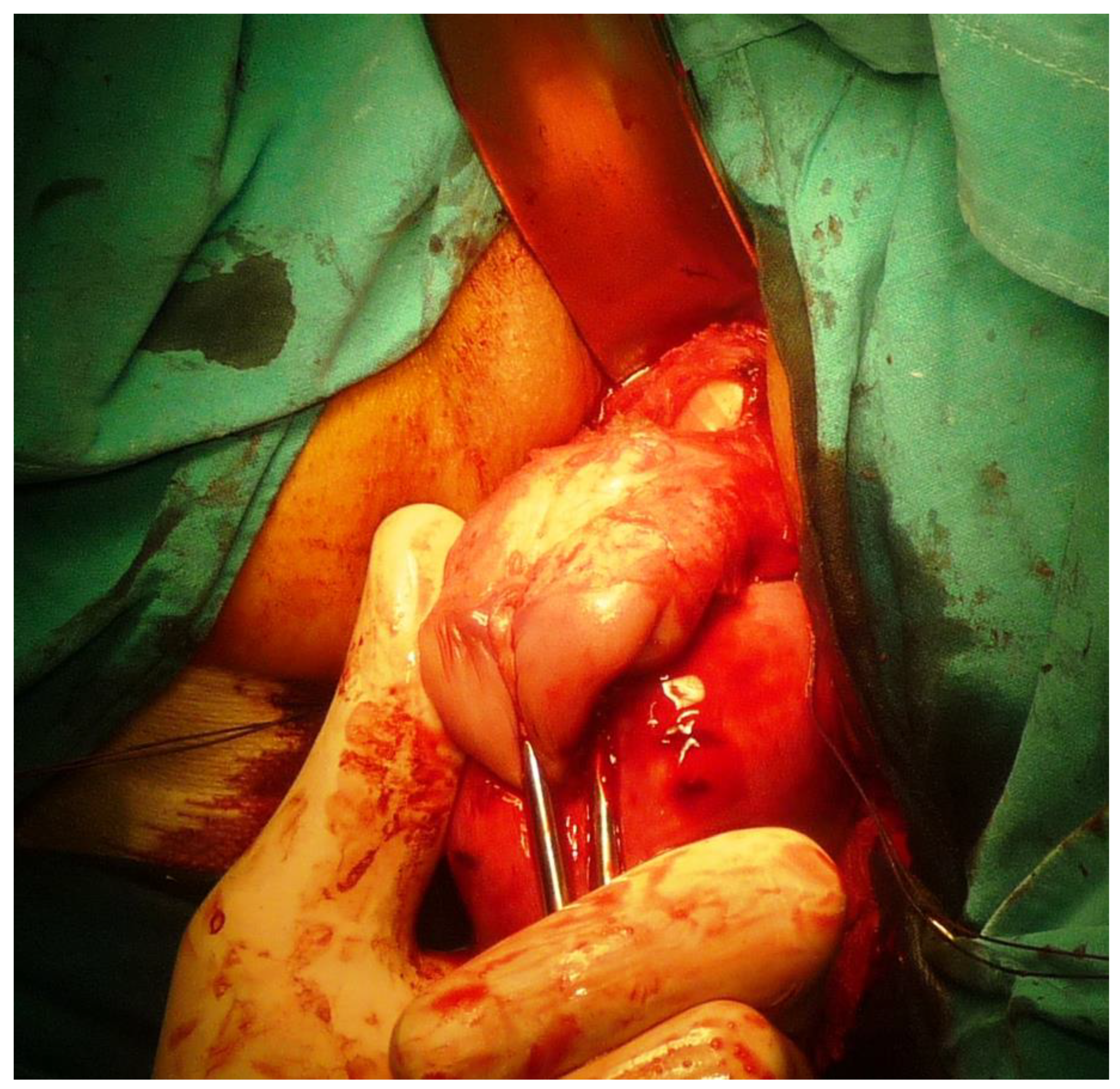 Ijerph 19 11381 g006