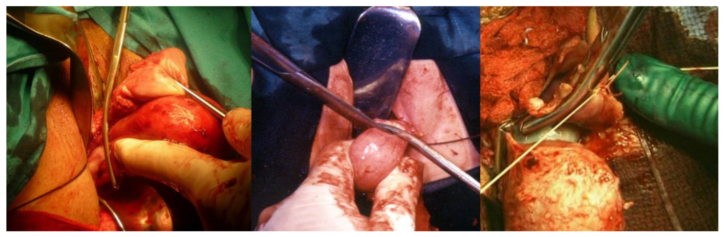 Ijerph 19 11381 g007