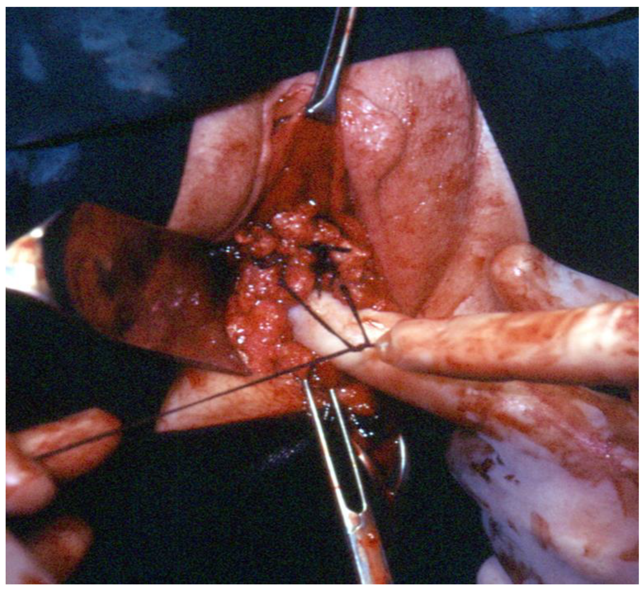 Ijerph 19 11381 g008