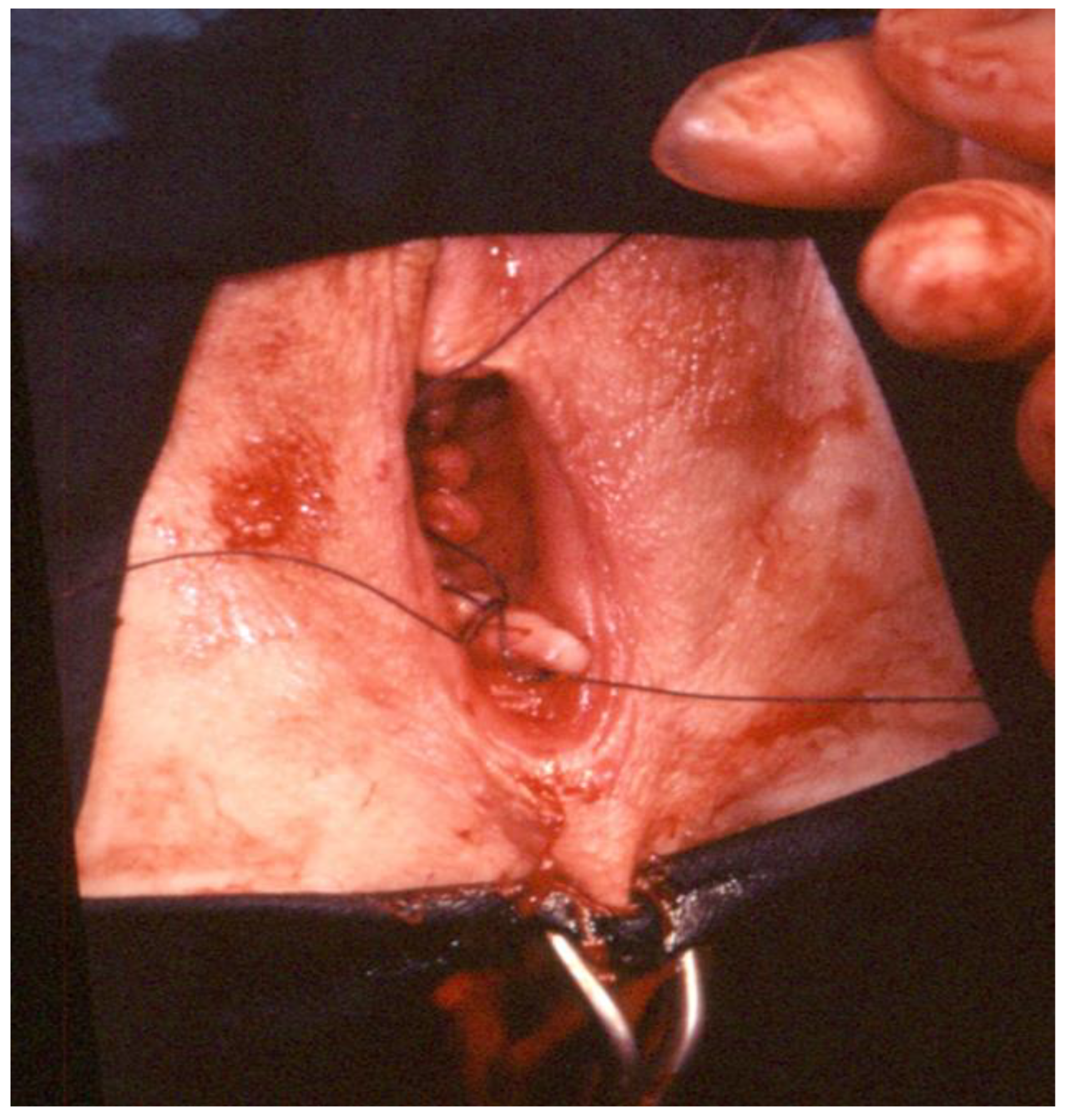 Ijerph 19 11381 g009