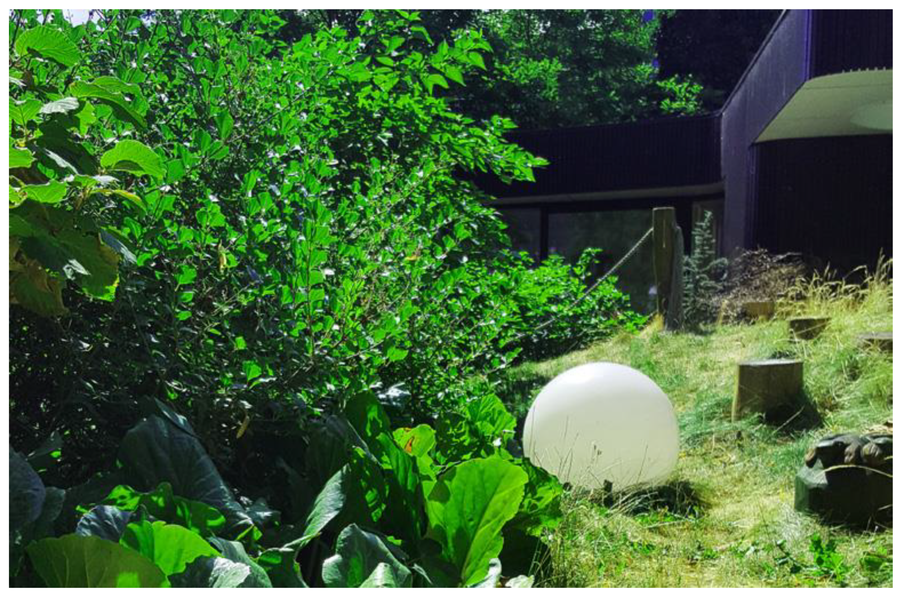 Ijerph 19 11414 g003