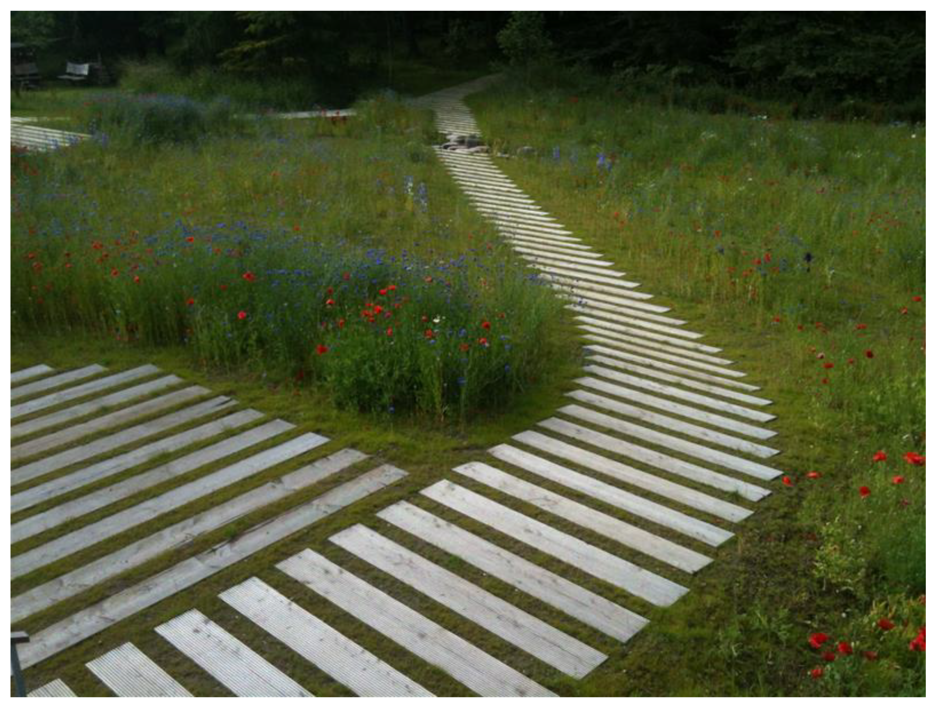 Ijerph 19 11414 g005