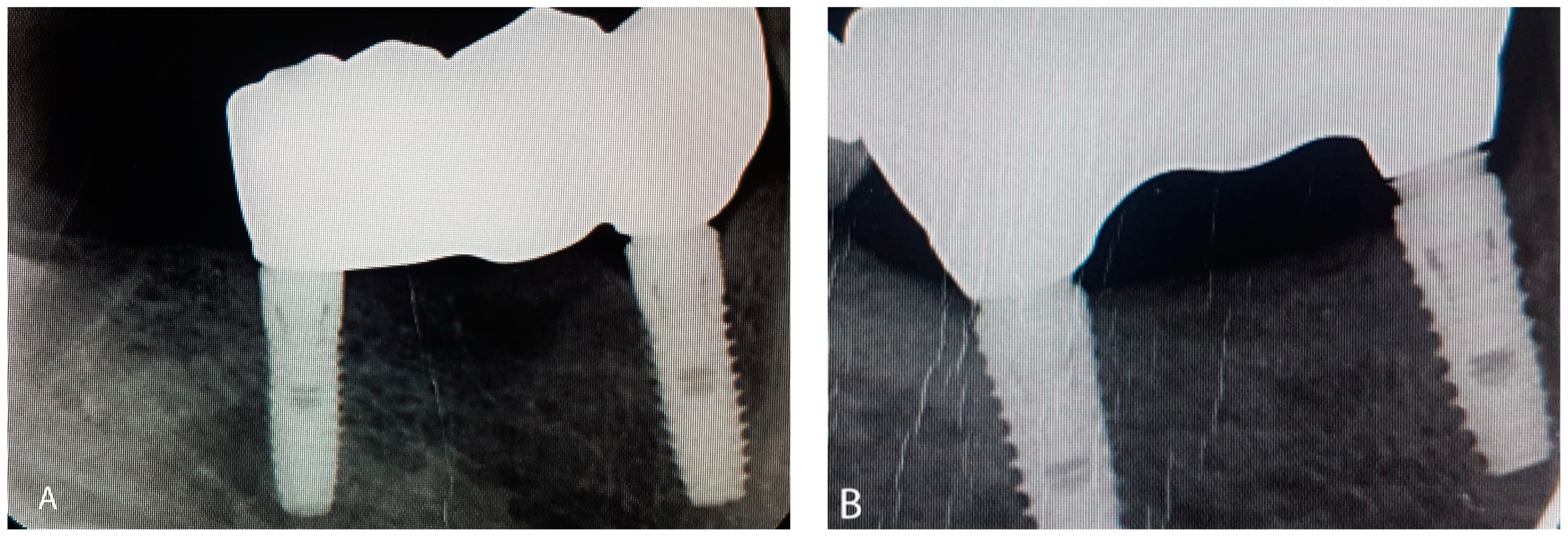 Ijerph 19 11456 g002