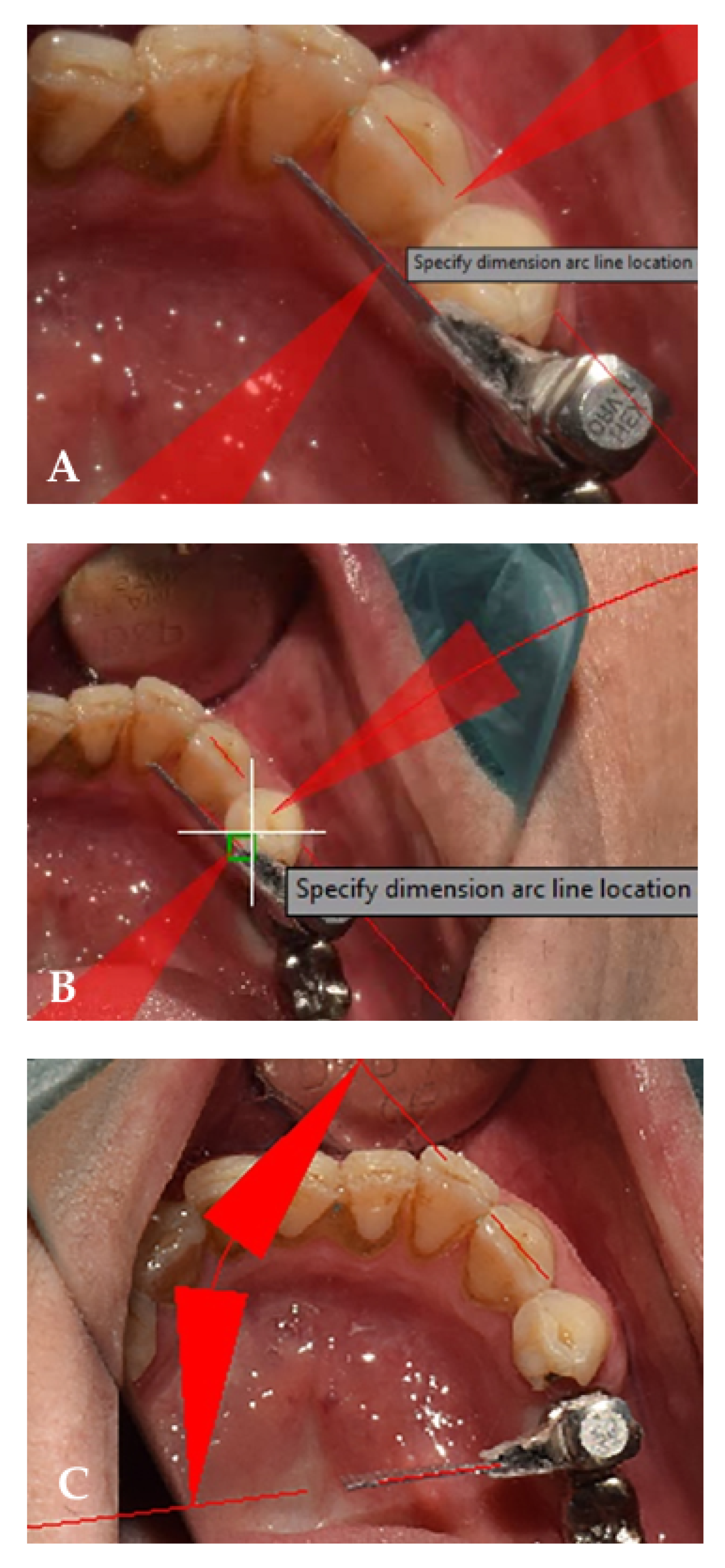 Ijerph 19 11456 g003