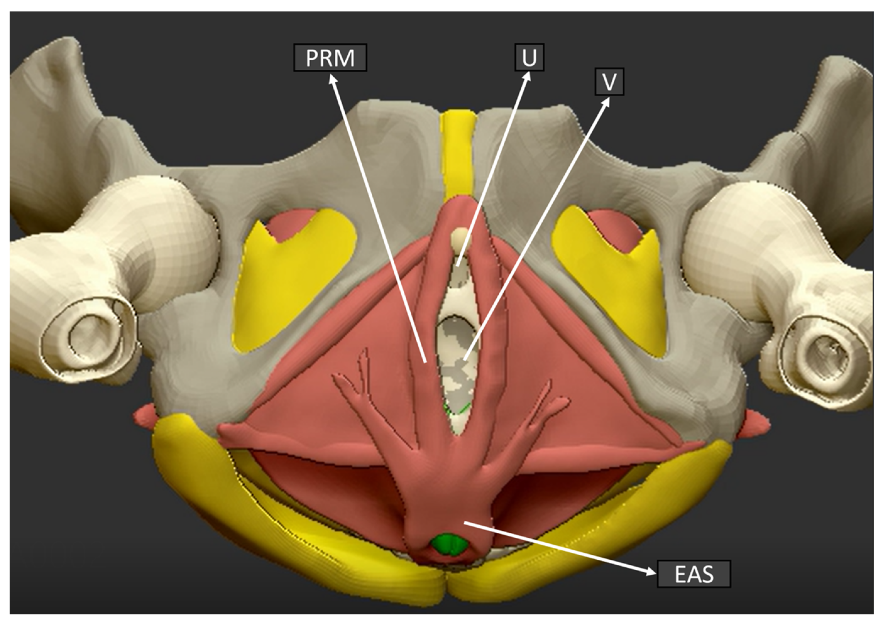 Ijerph 19 11479 g003