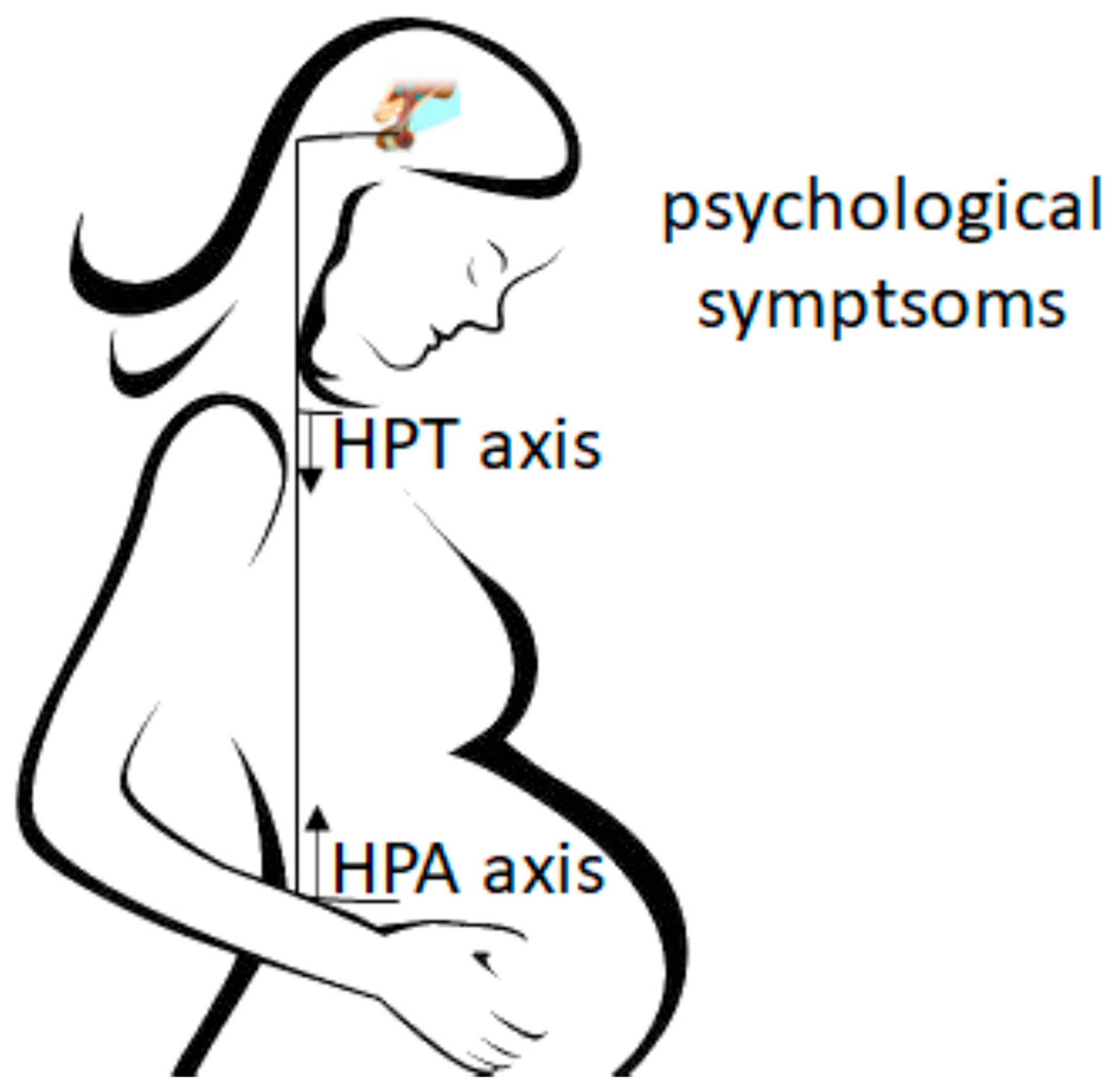 Ijerph 19 11497 g003