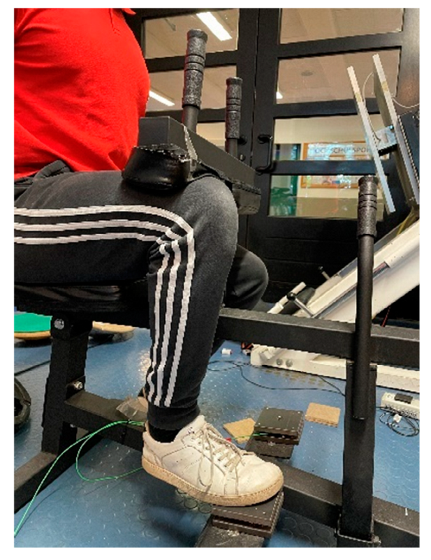 Ijerph 19 11621 g001