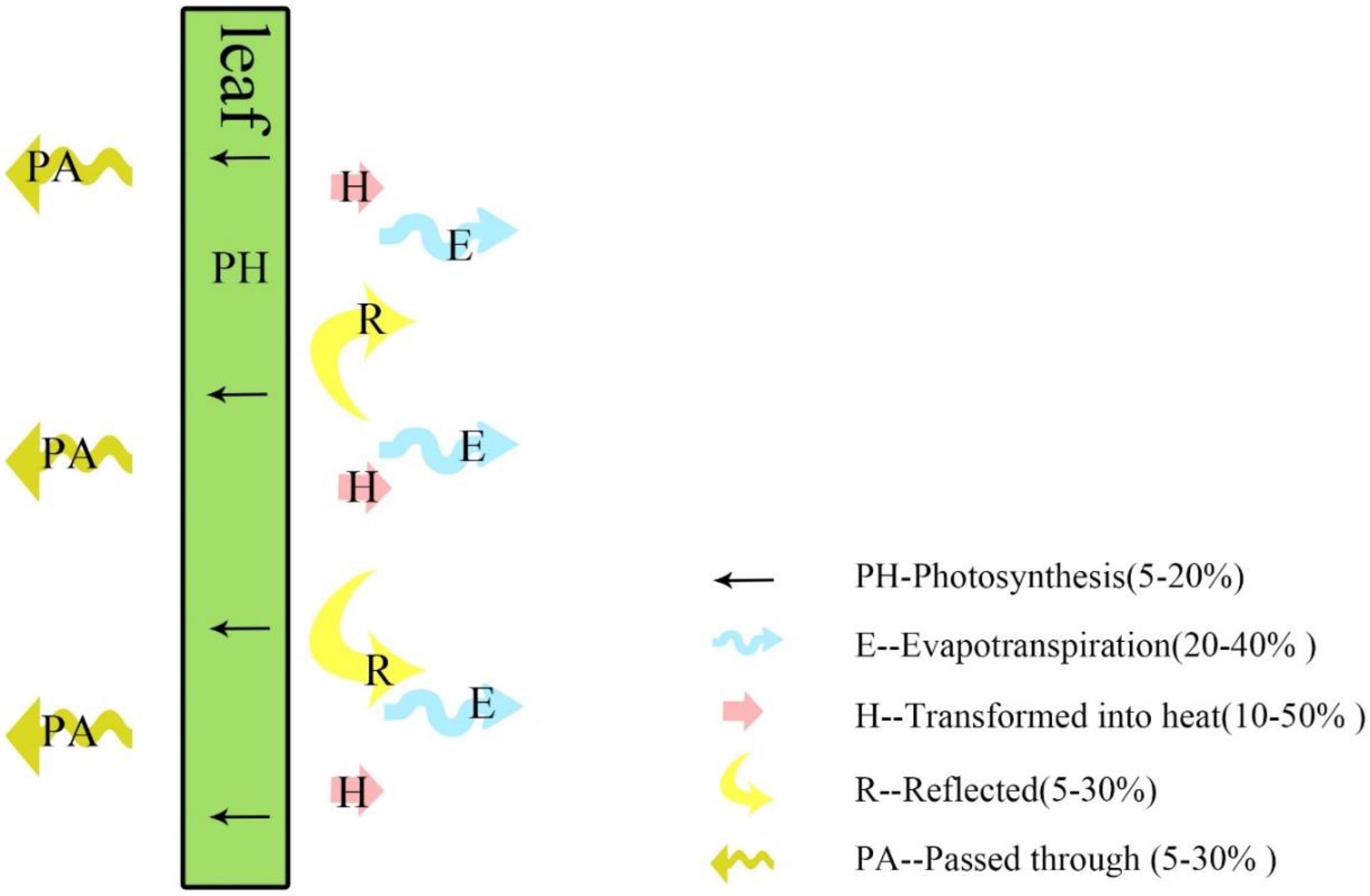 Ijerph 19 11648 g001