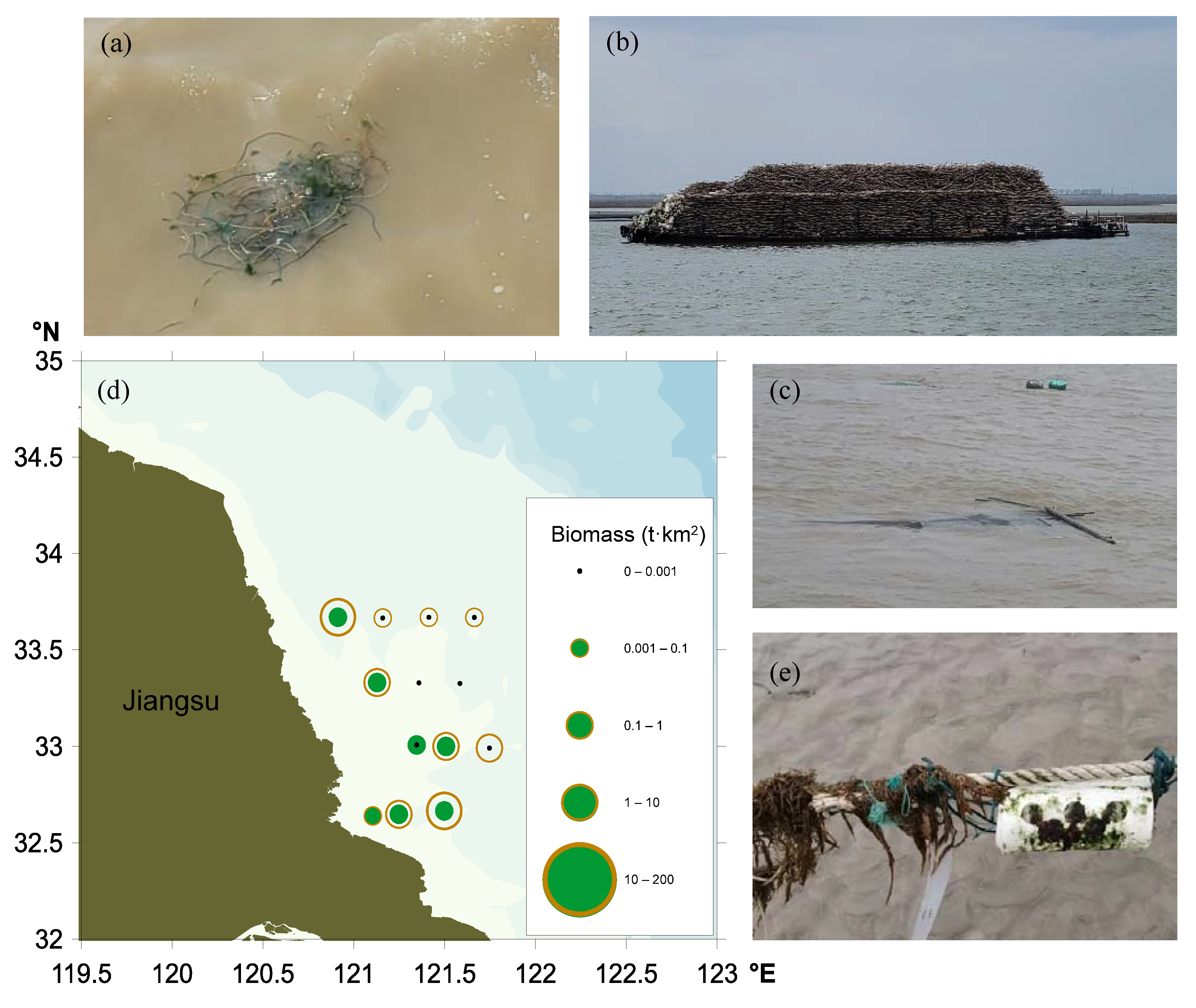 Ijerph 19 11753 g003