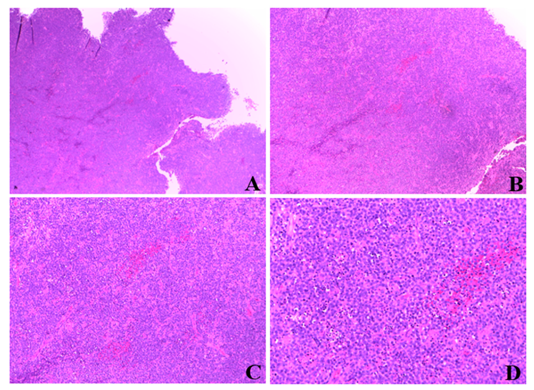 Ijerph 19 11779 g001 Ijerph 19 11779 g001