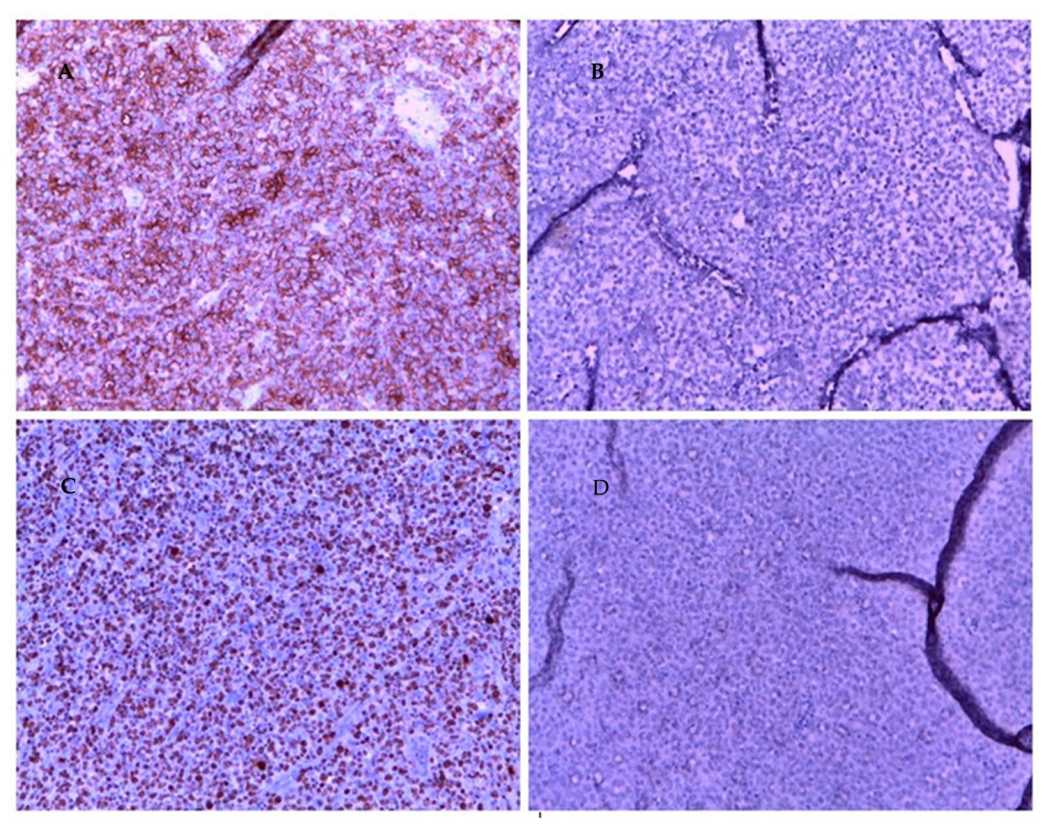 Ijerph 19 11779 g002 Ijerph 19 11779 g002