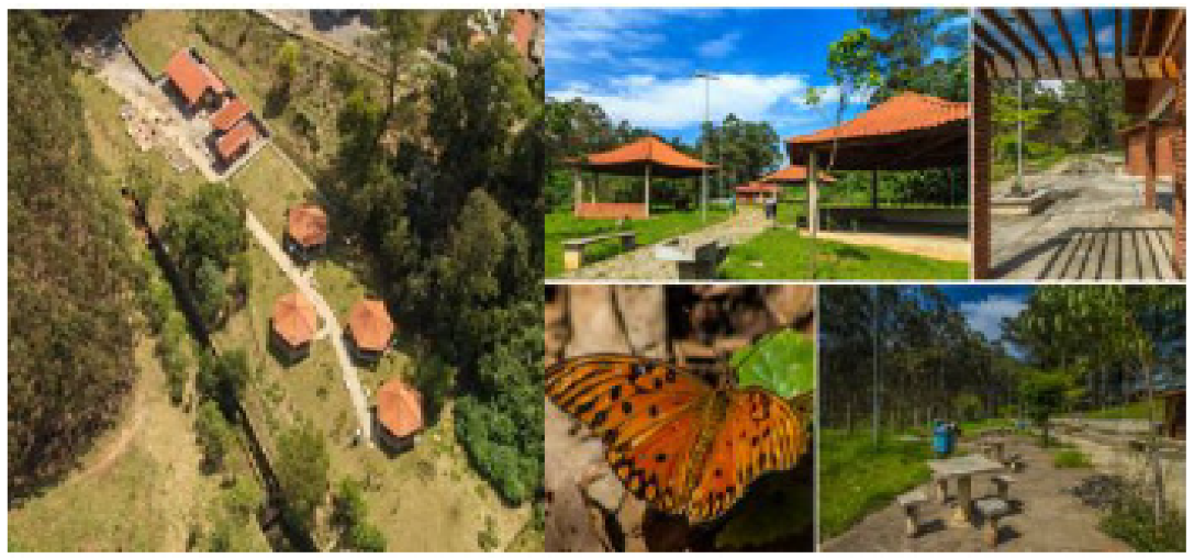 Ijerph 19 11933 g001