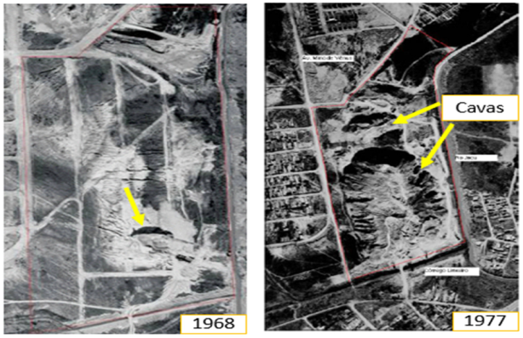 Ijerph 19 11933 g003