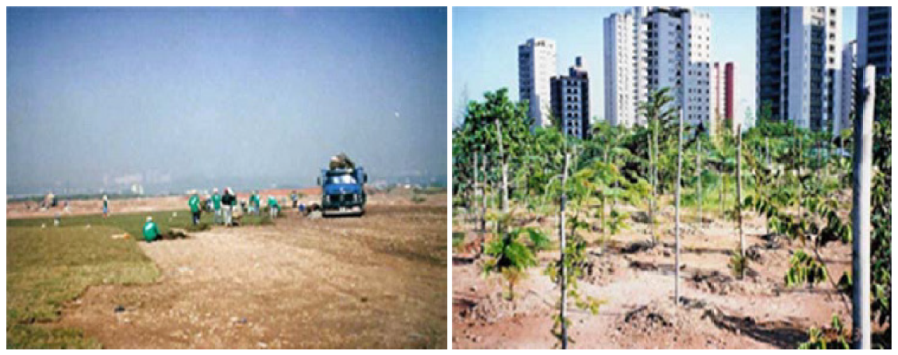 Ijerph 19 11933 g007