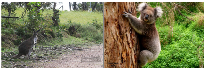 Ijerph 19 11933 g009