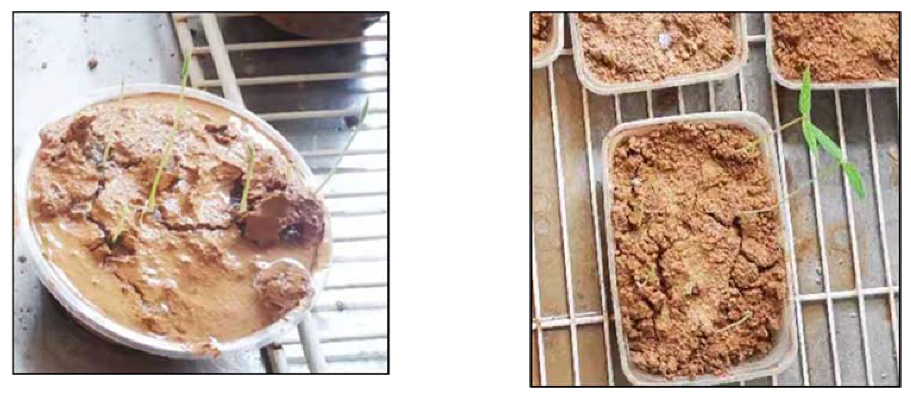 Ijerph 19 12121 g011