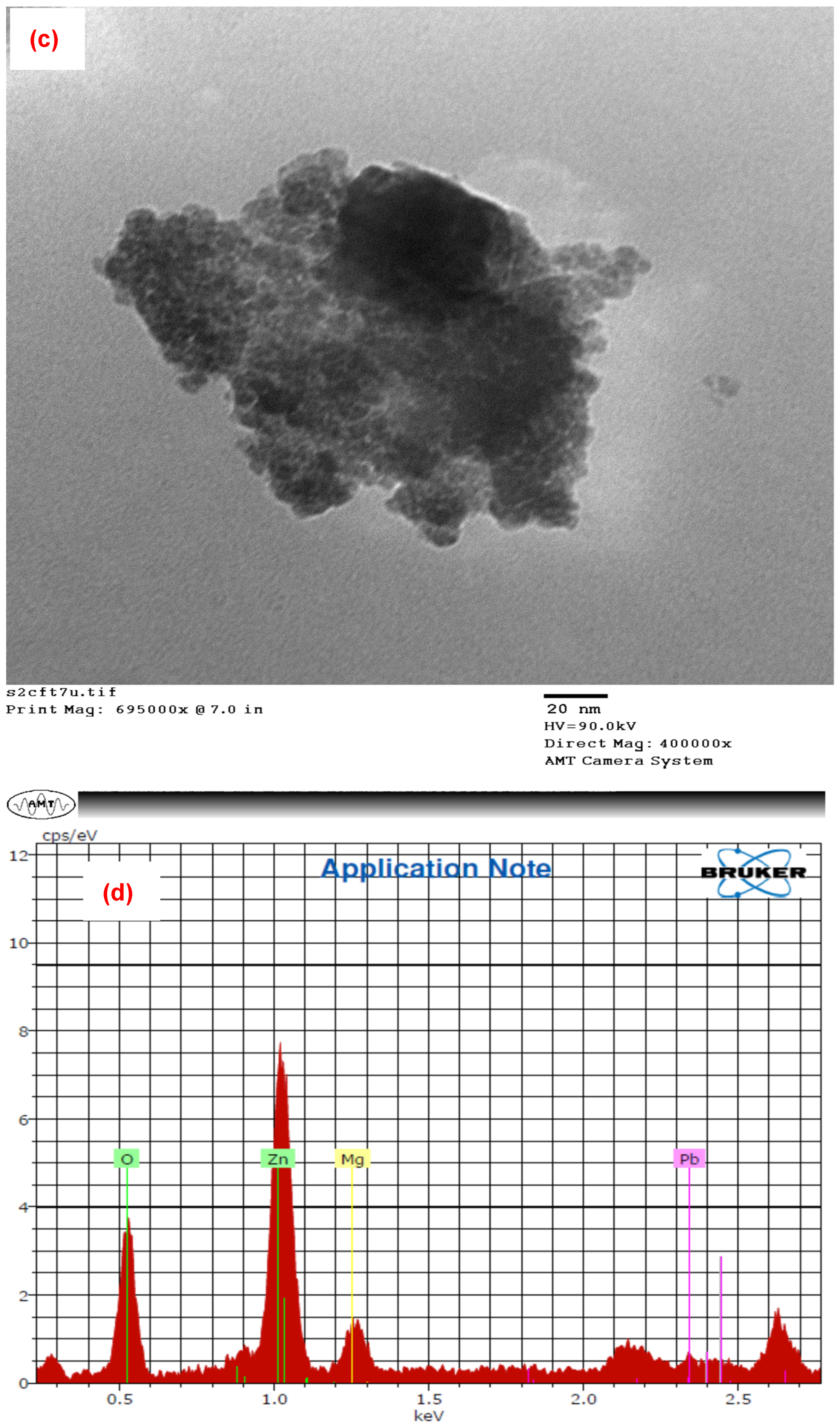 Ijerph 19 12199 g001b