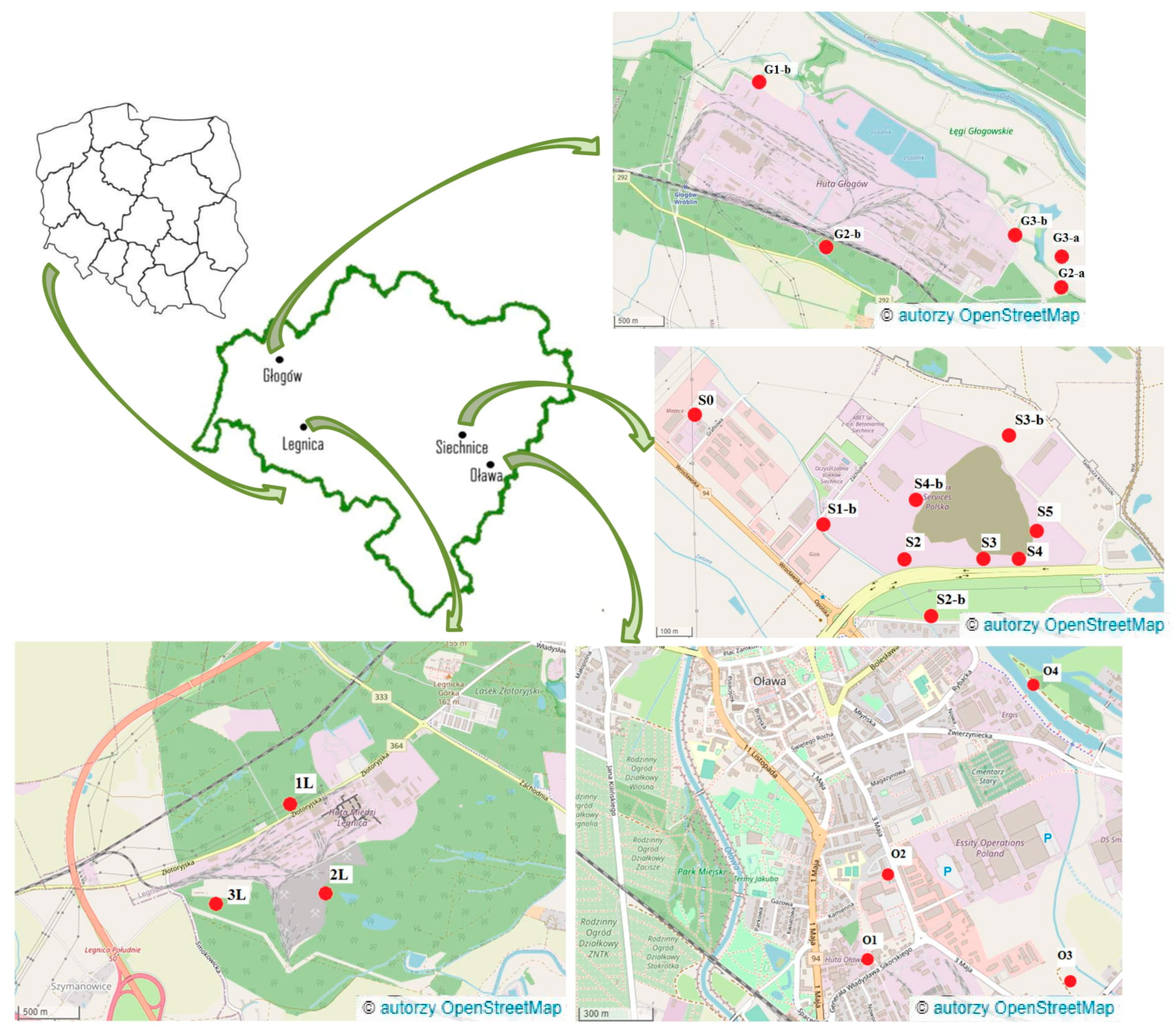 Ijerph 19 12634 g001