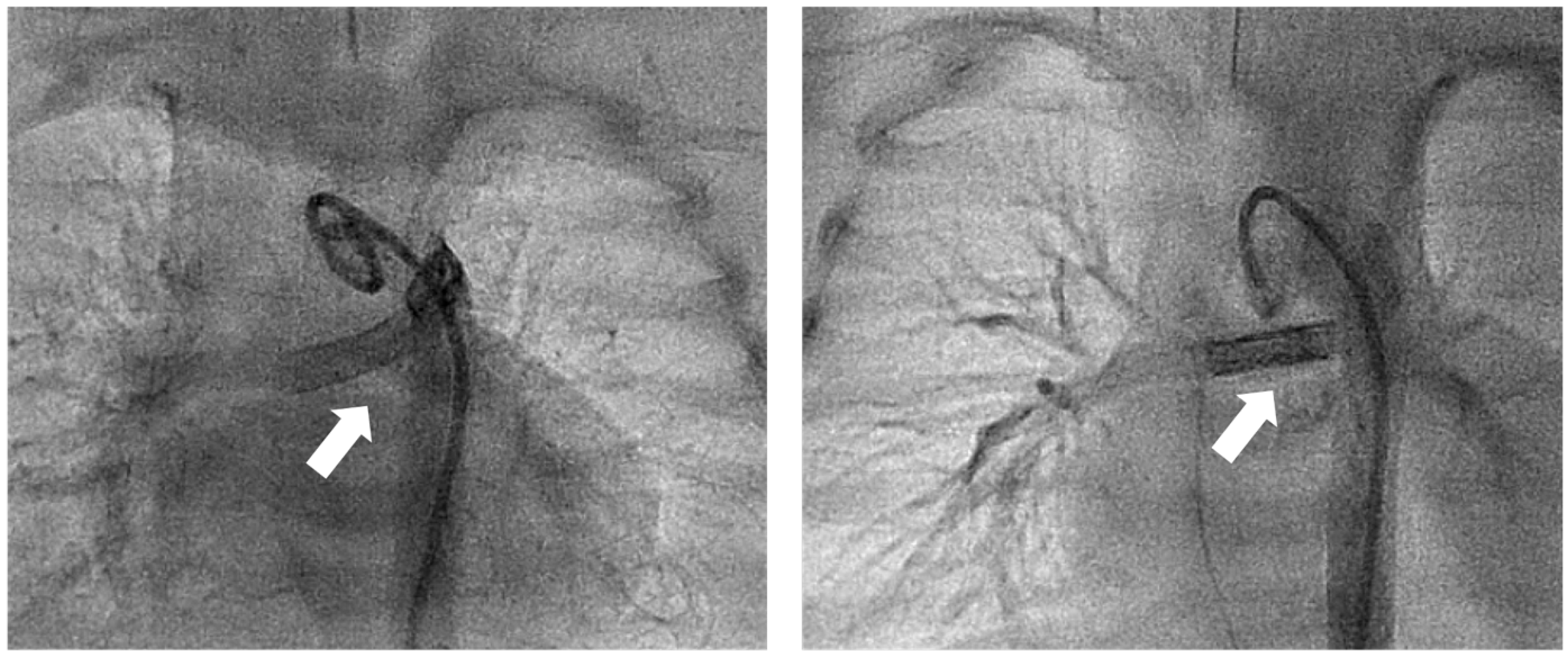 Ijerph 19 12794 g002