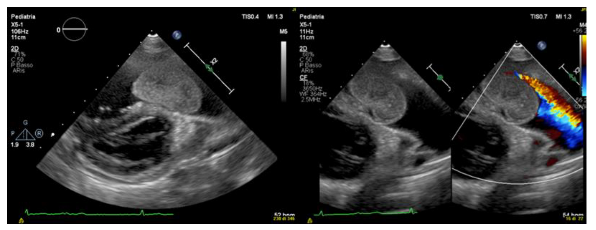 Ijerph 19 12888 g002